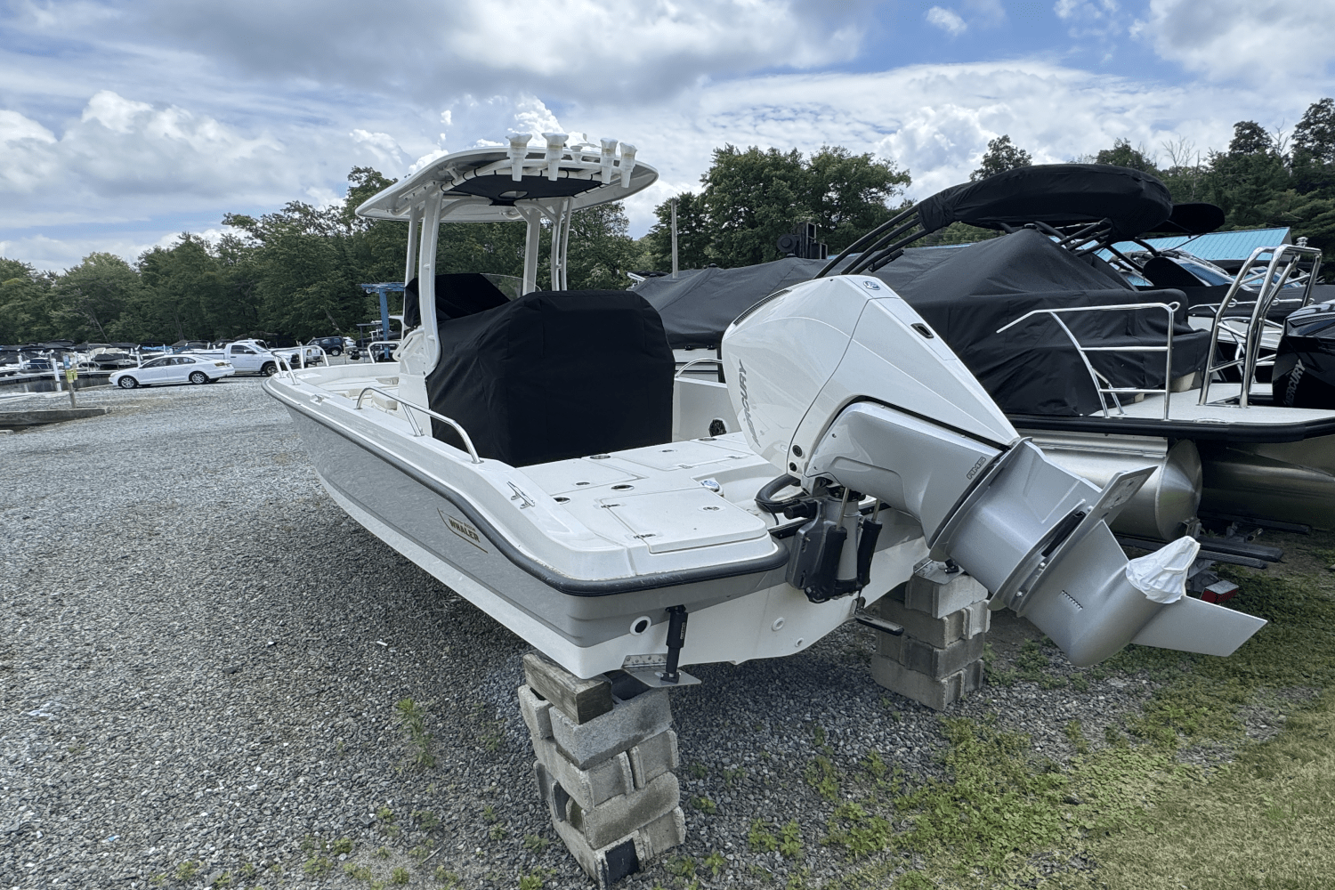 Slide: The Image of Boston Whaler 250 Dauntless 2025 - 12
