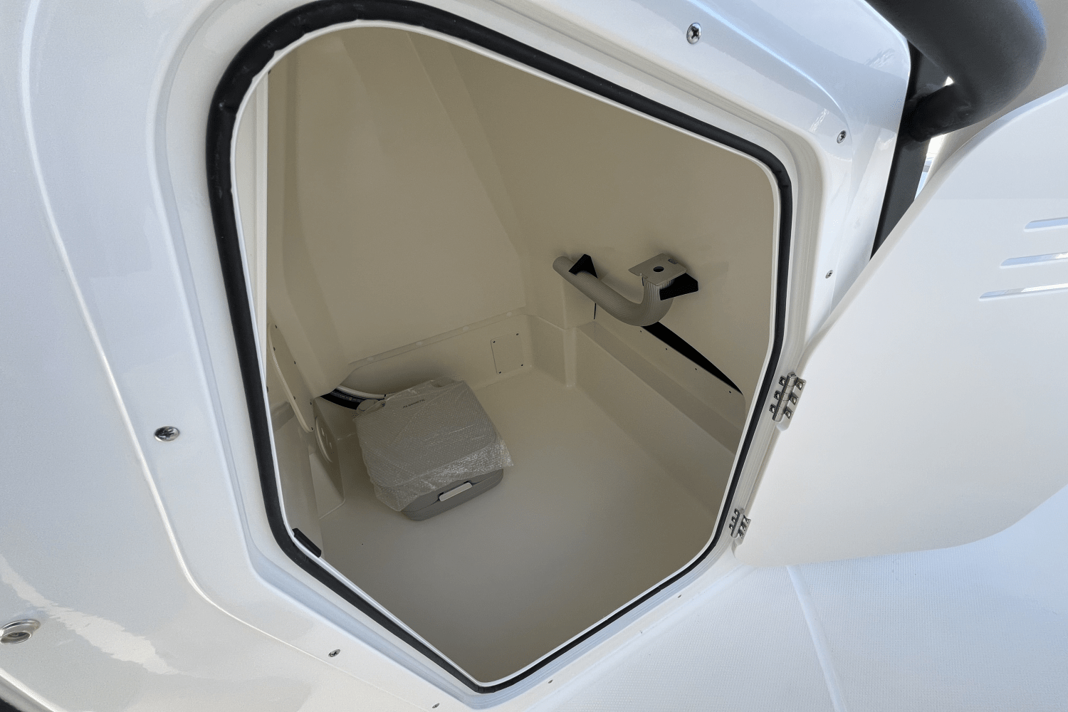 Slide: The Image of Boston Whaler 250 Dauntless 2025 - 12