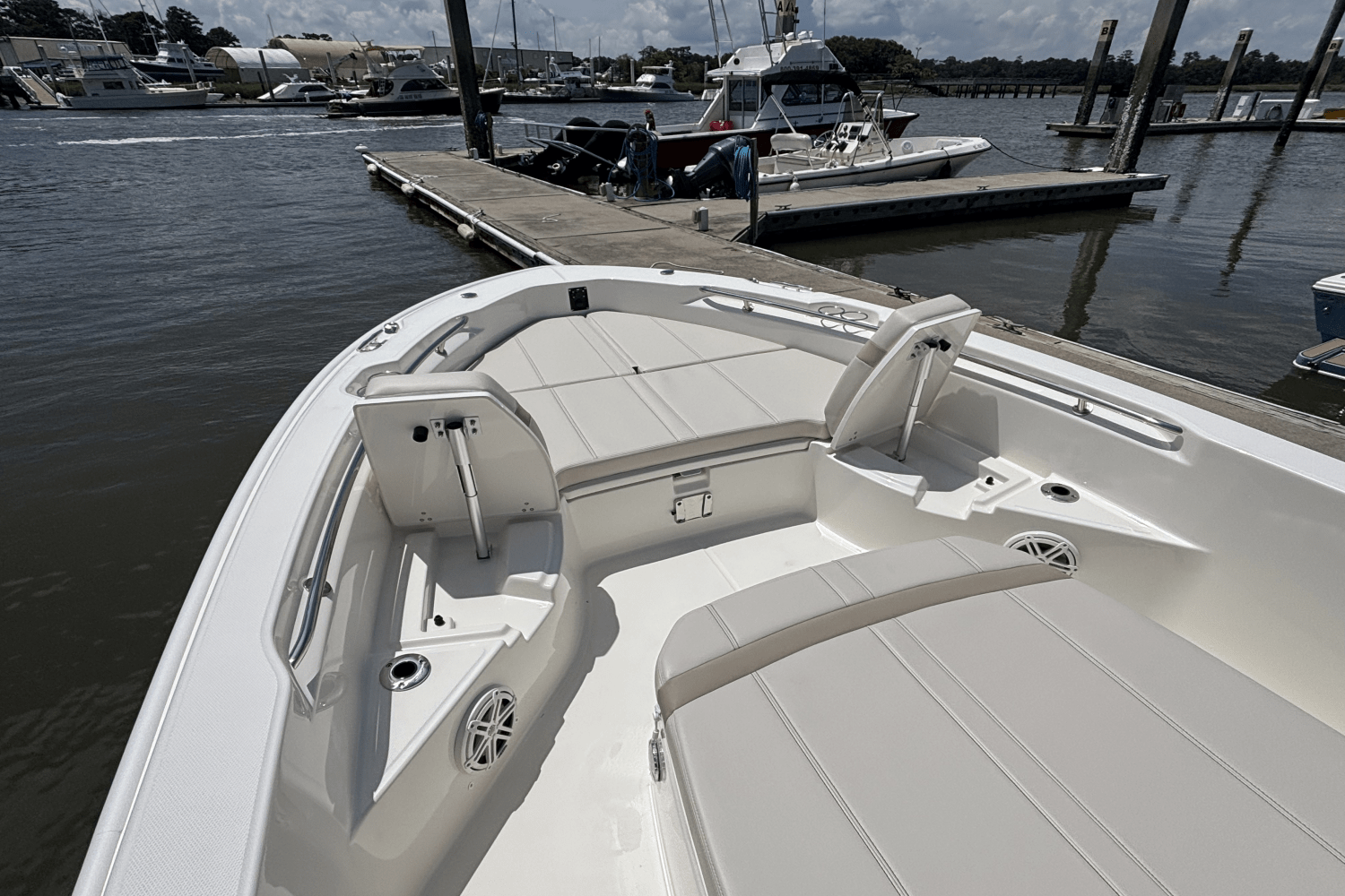 Slide: The Image of Boston Whaler 250 Dauntless 2025 - 12