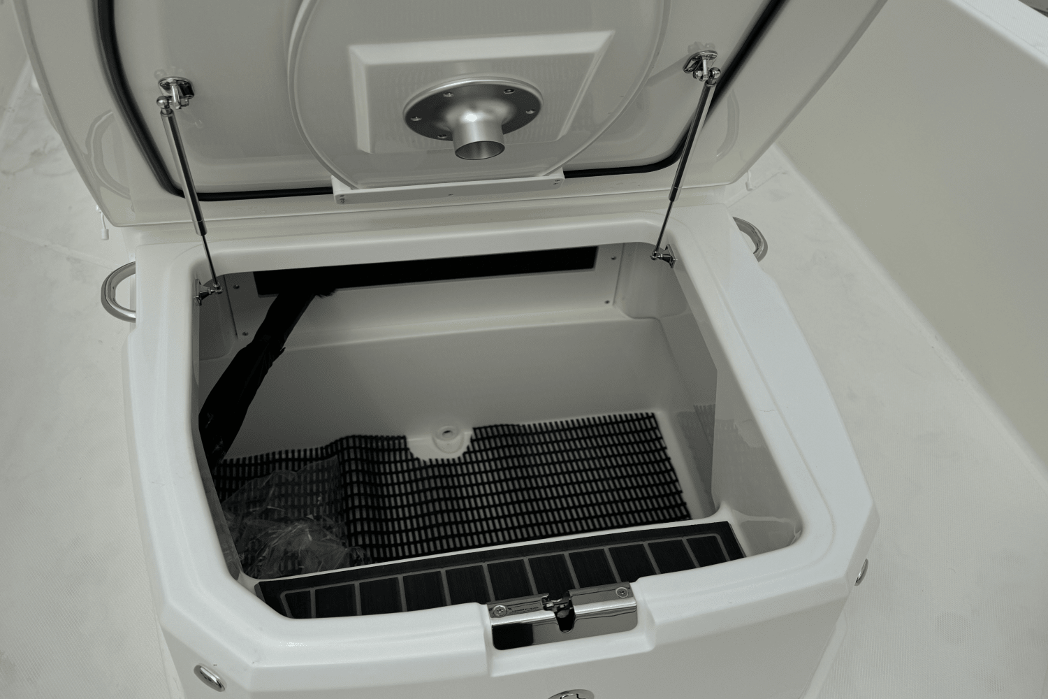 Slide: The Image of Boston Whaler 250 Dauntless 2025 - 13