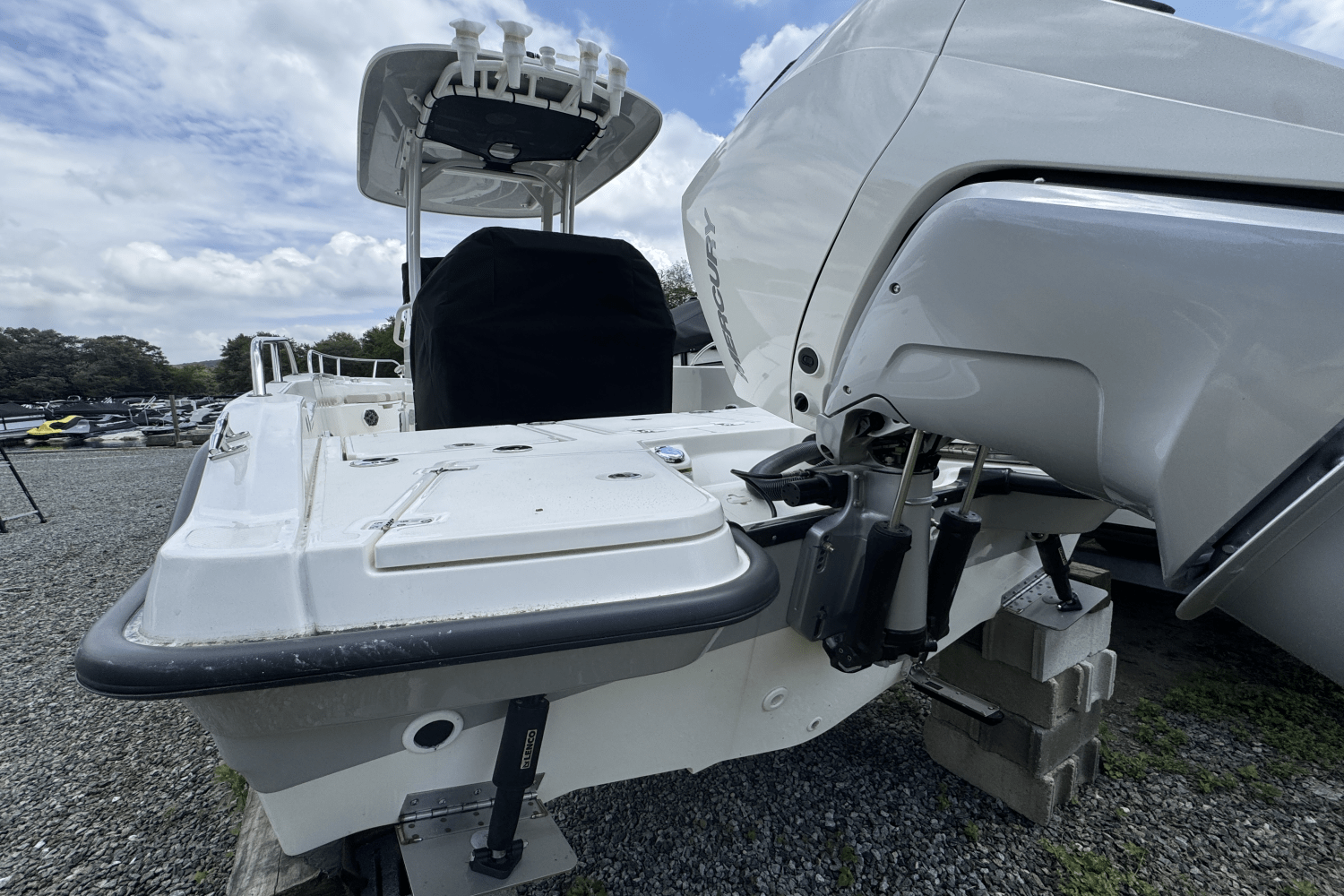 Slide: The Image of Boston Whaler 250 Dauntless 2025 - 14