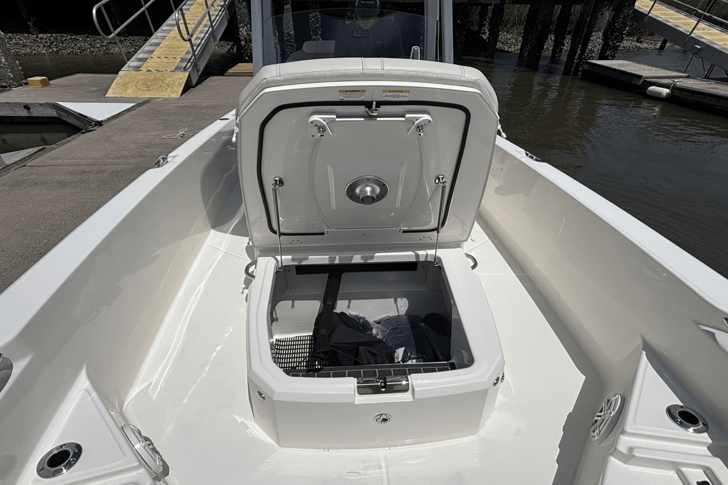 Slide: The Image of Boston Whaler 250 Dauntless 2025 - 14