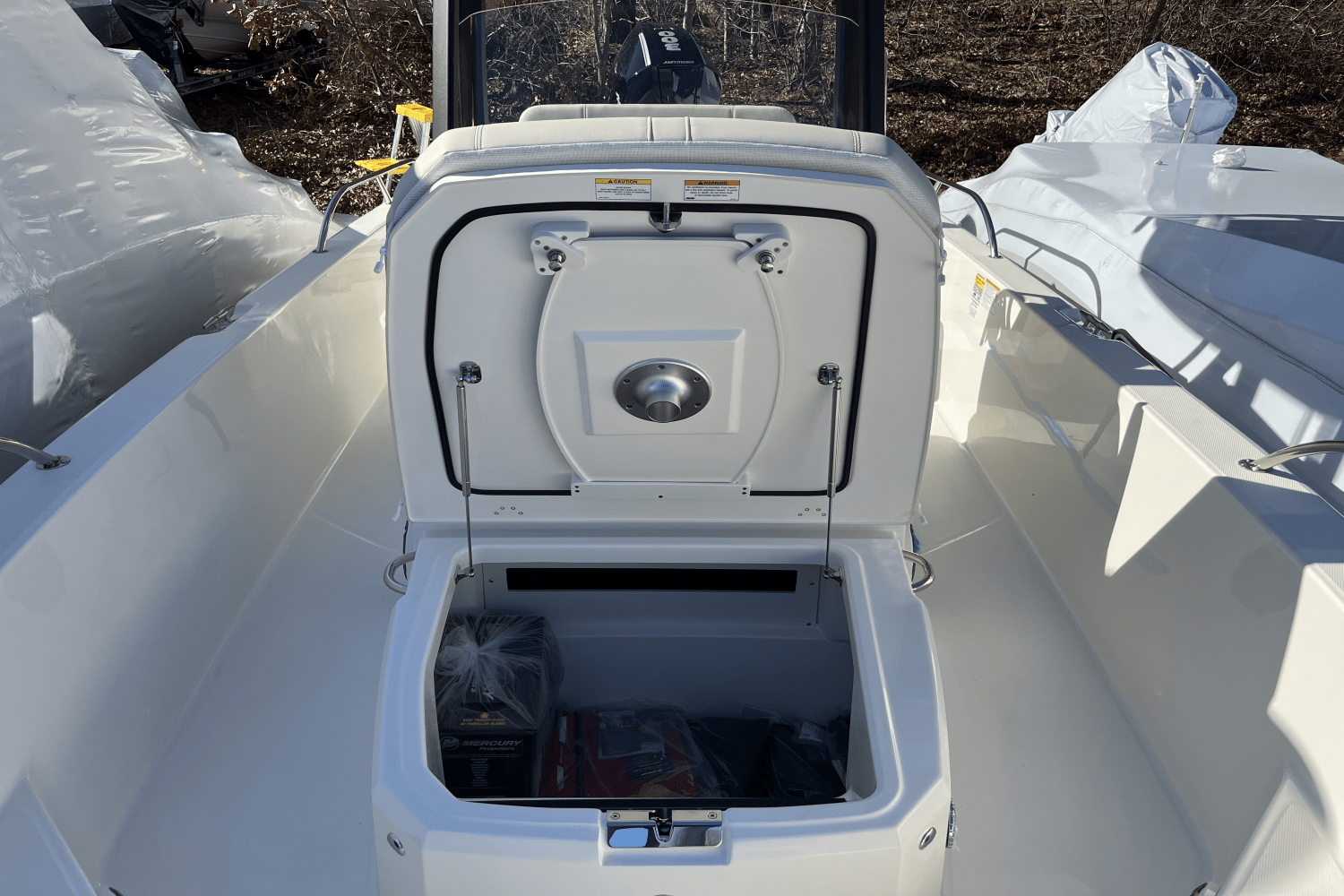 Slide: The Image of Boston Whaler 250 Dauntless 2025 - 17