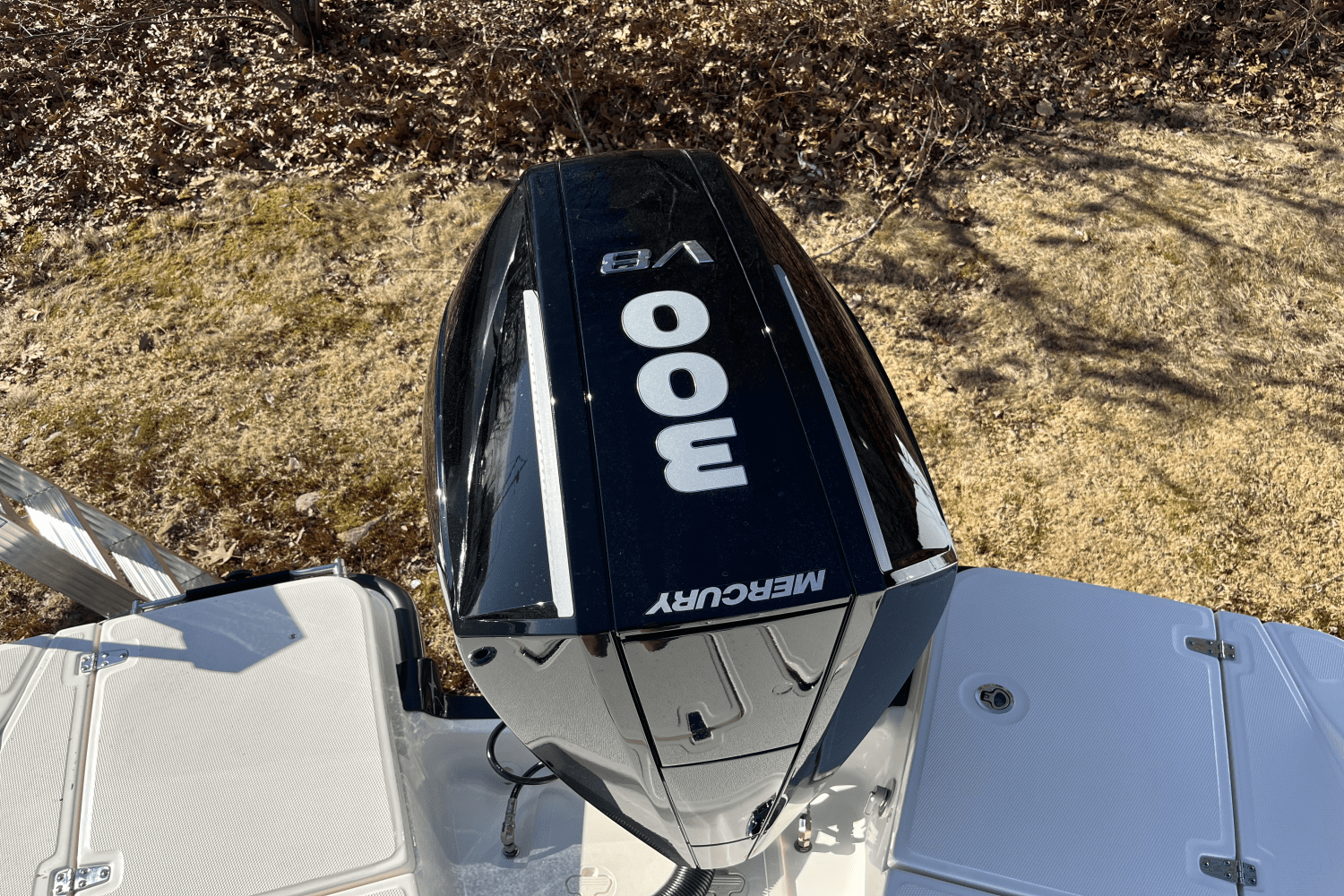 Slide: The Image of Boston Whaler 250 Dauntless 2025 - 2