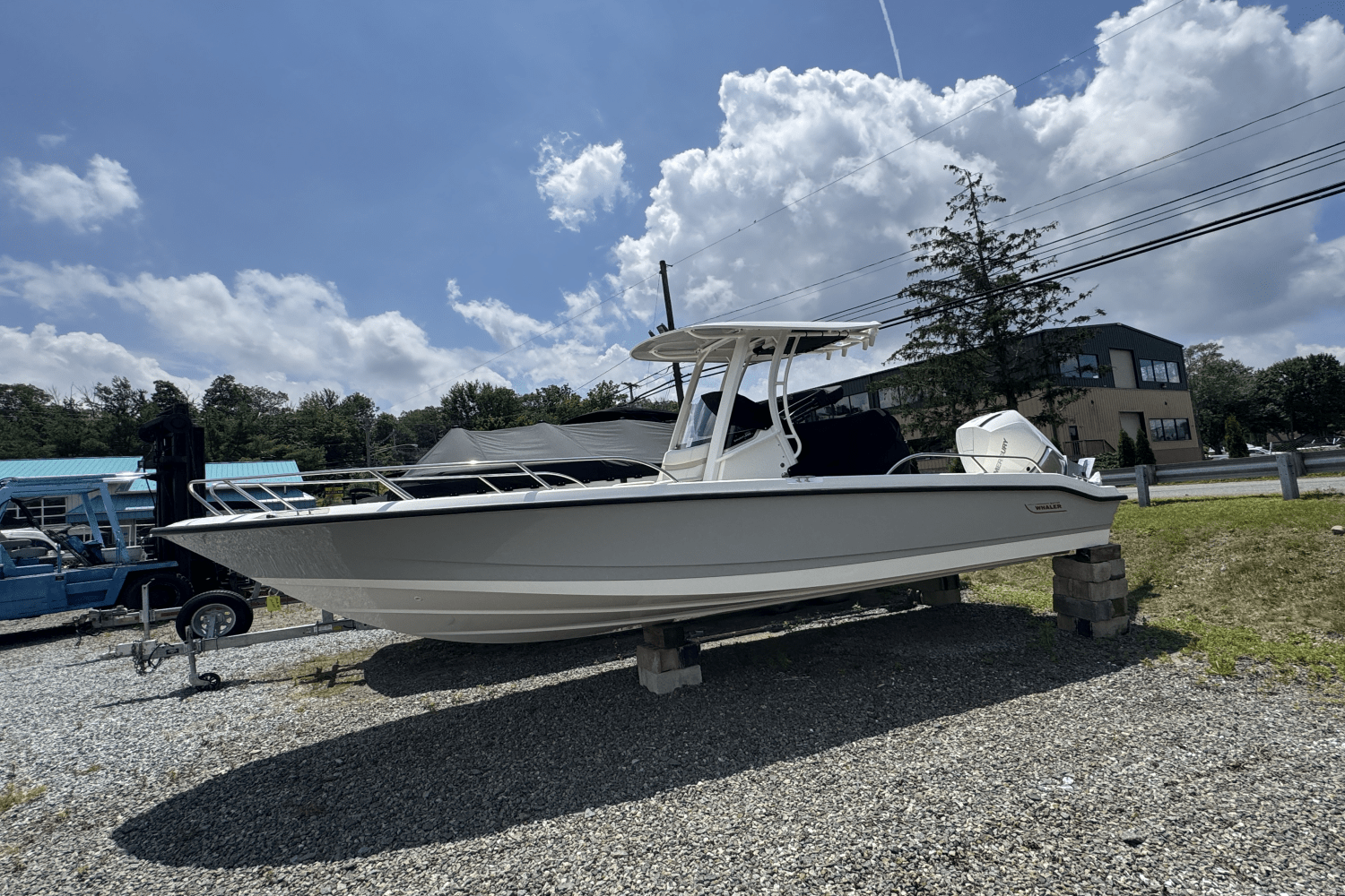 Slide: The Image of Boston Whaler 250 Dauntless 2025 - 31