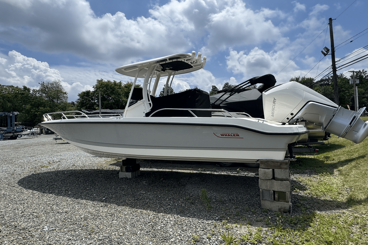 Slide: The Image of Boston Whaler 250 Dauntless 2025 - 6