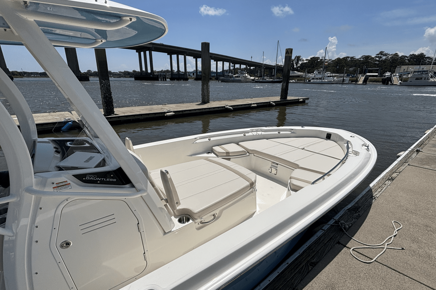 Slide: The Image of Boston Whaler 250 Dauntless 2025 - 7
