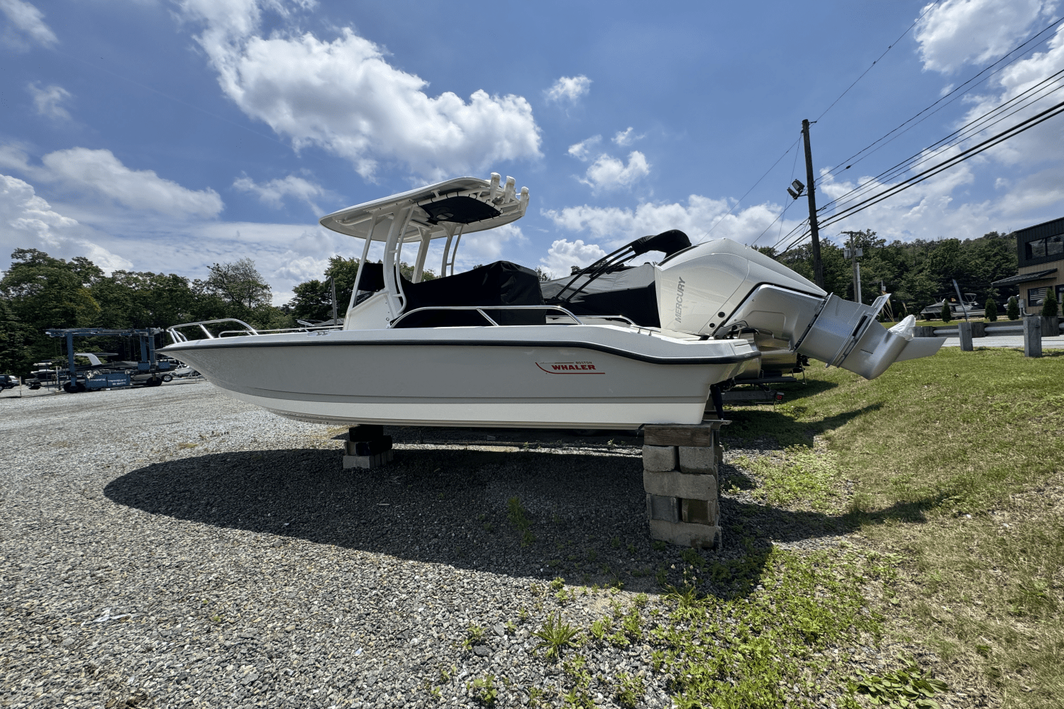 Slide: The Image of Boston Whaler 250 Dauntless 2025 - 8
