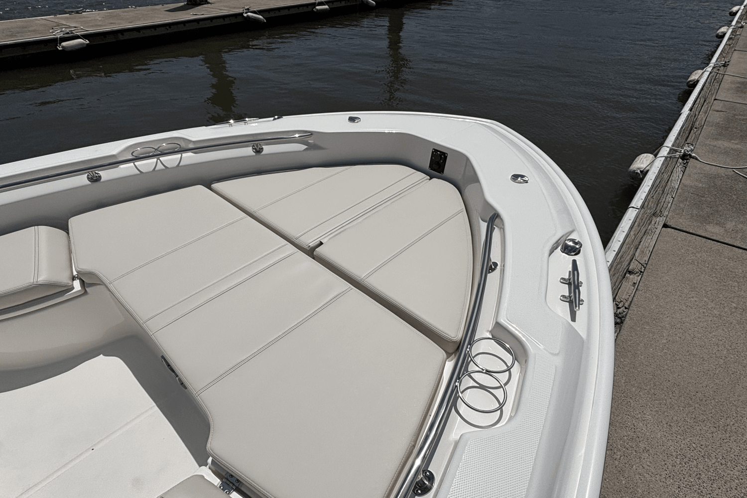 Slide: The Image of Boston Whaler 250 Dauntless 2025 - 8