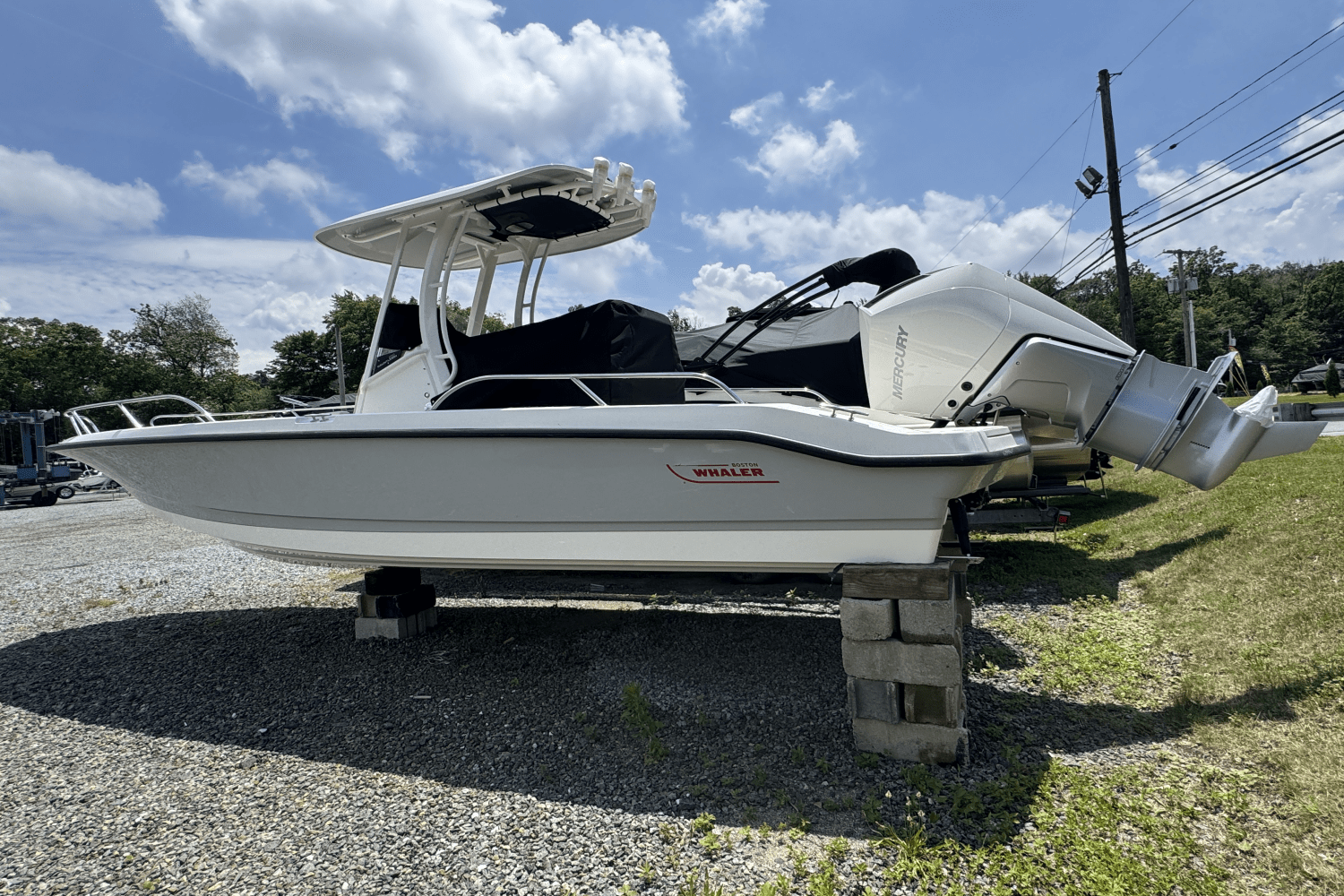 Slide: The Image of Boston Whaler 250 Dauntless 2025 - 9