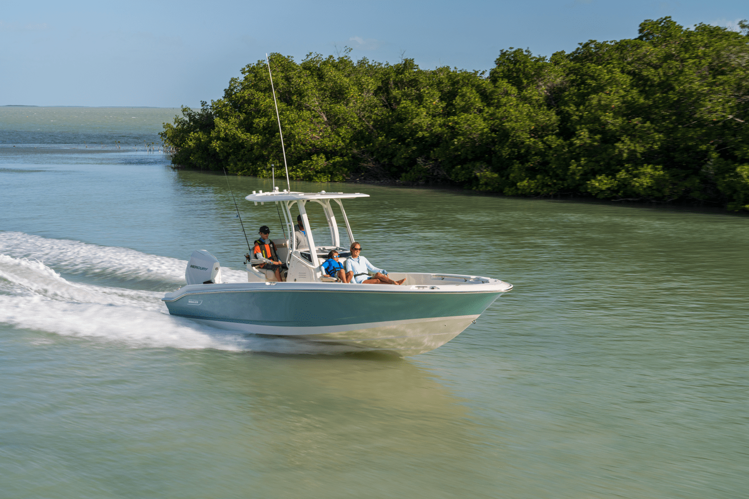 Slide: The Image of Boston Whaler 250 Dauntless 2026 - 0