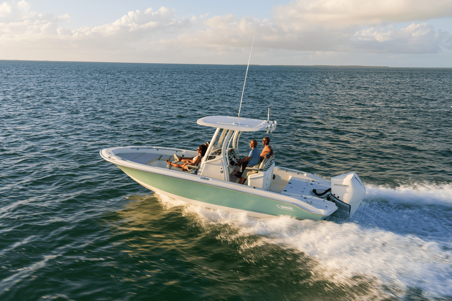 Slide: The Image of Boston Whaler 250 Dauntless 2026 - 1