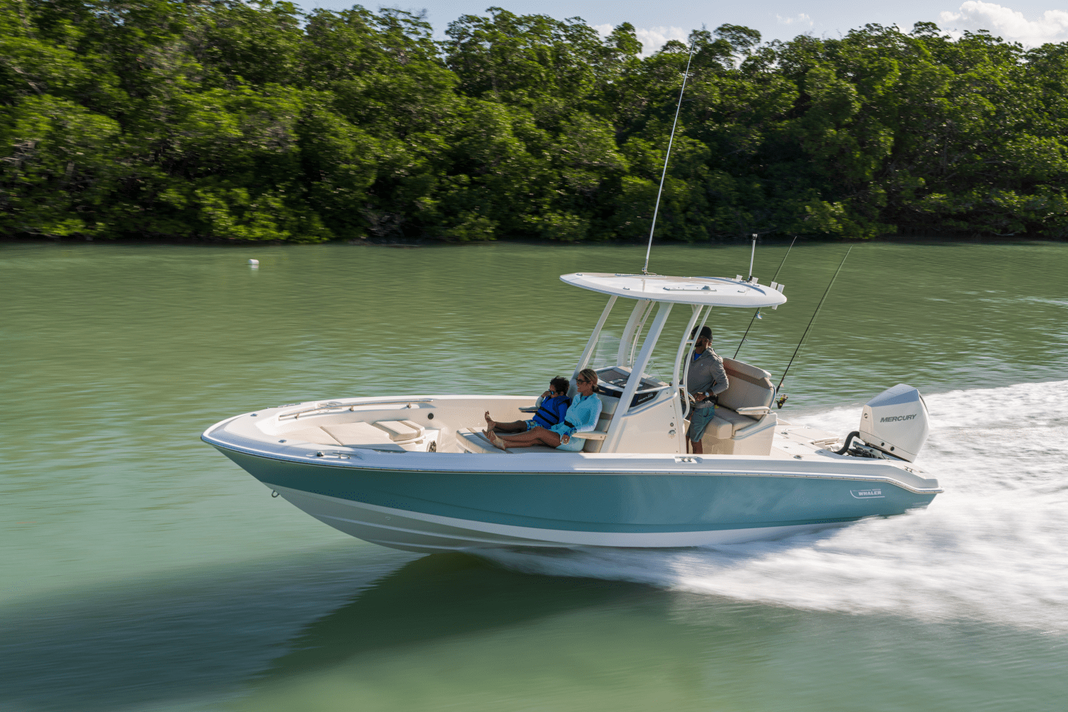 Slide: The Image of Boston Whaler 250 Dauntless 2026 - 12