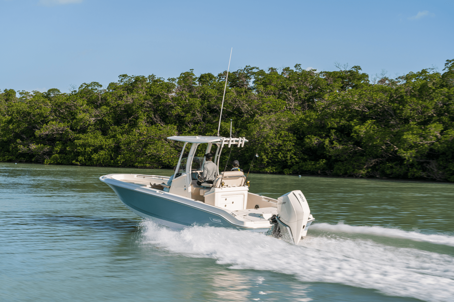 Slide: The Image of Boston Whaler 250 Dauntless 2026 - 14