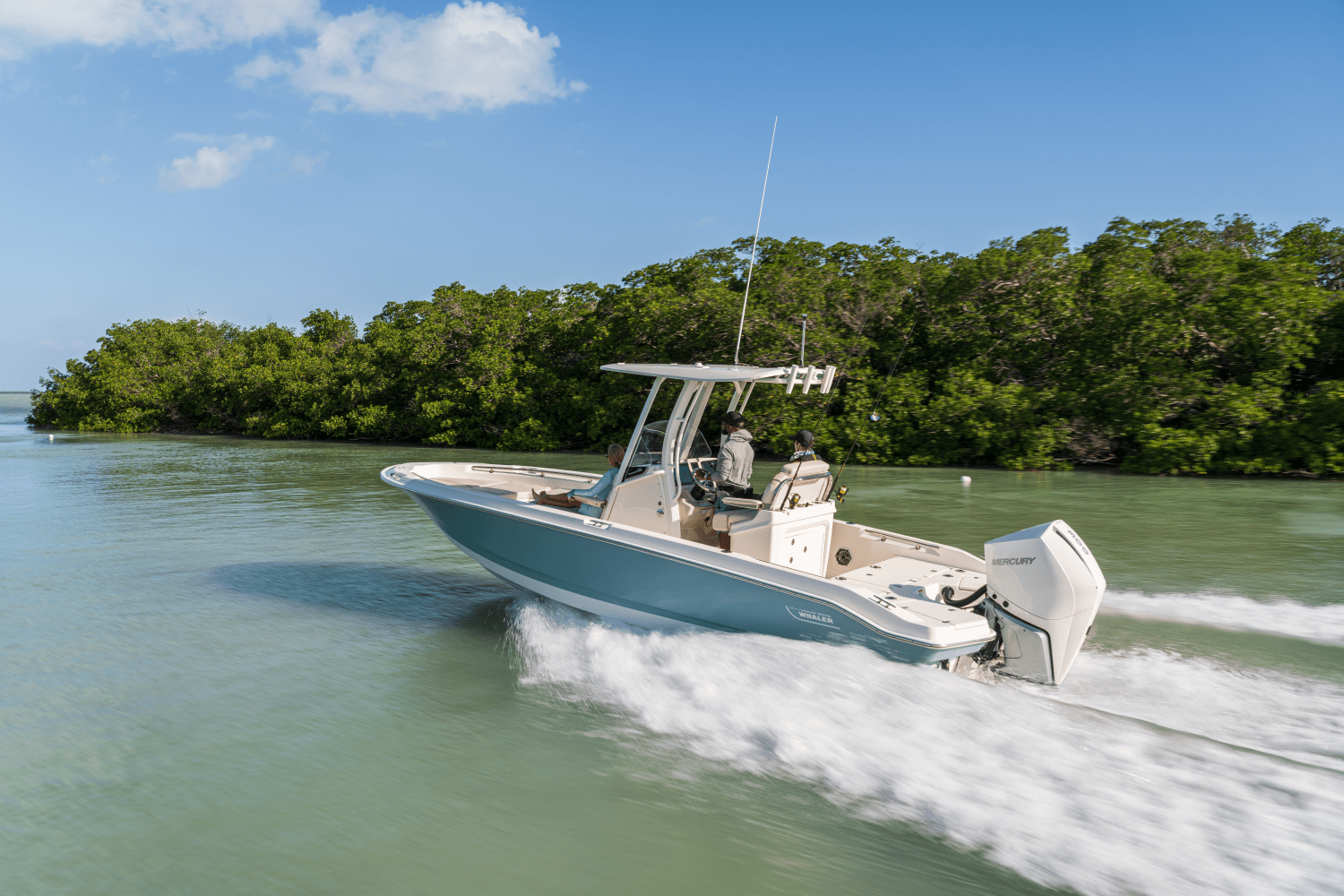 Slide: The Image of Boston Whaler 250 Dauntless 2026 - 15
