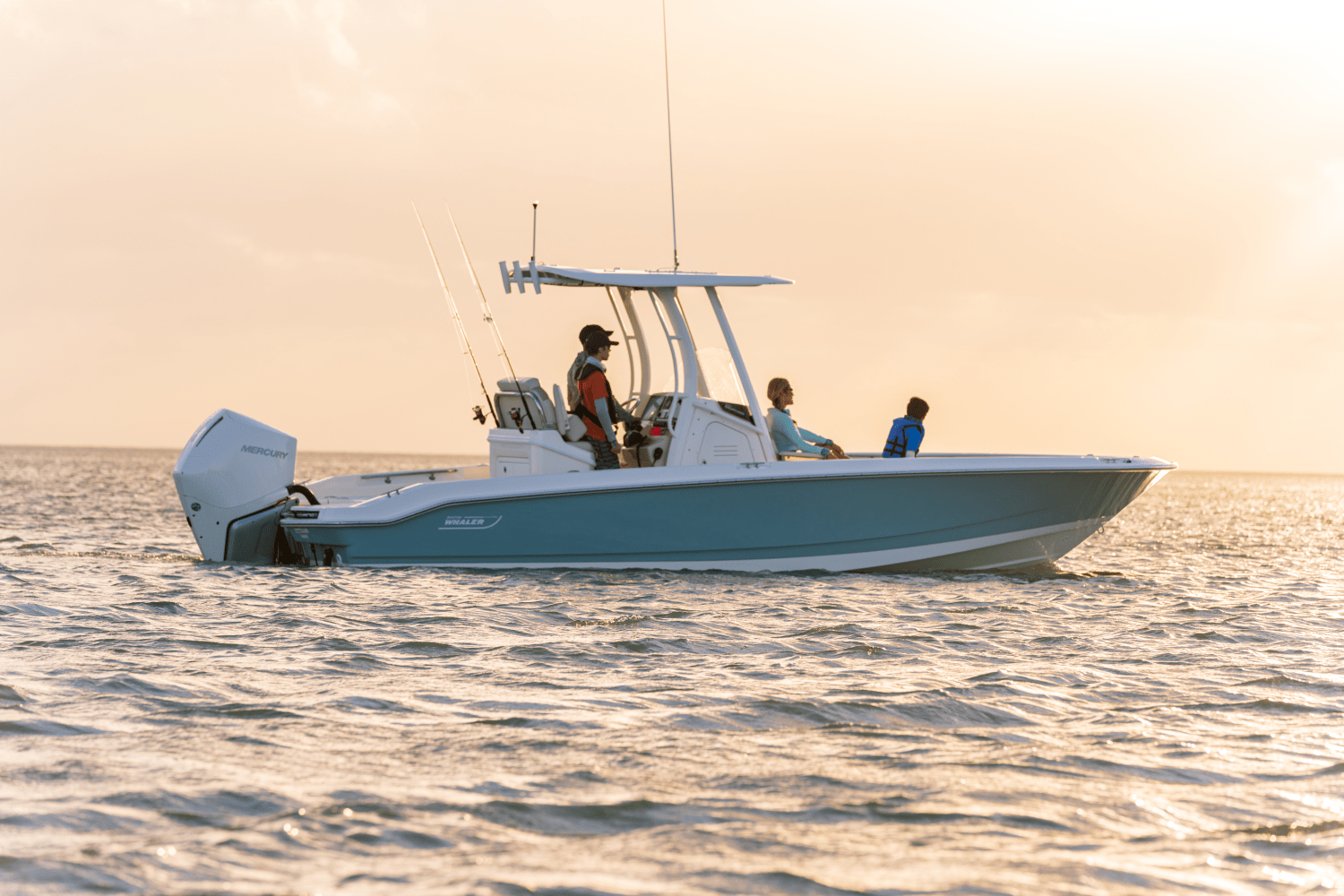 Slide: The Image of Boston Whaler 250 Dauntless 2026 - 2