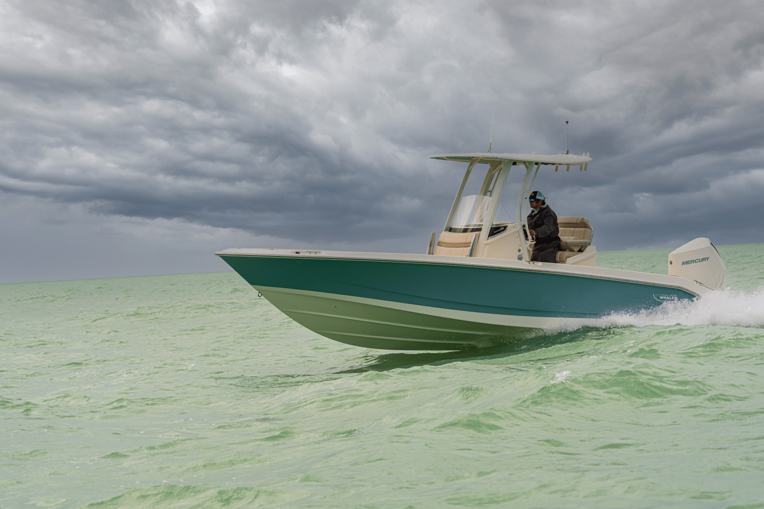 Slide: The Image of Boston Whaler 250 Dauntless 2026 - 22