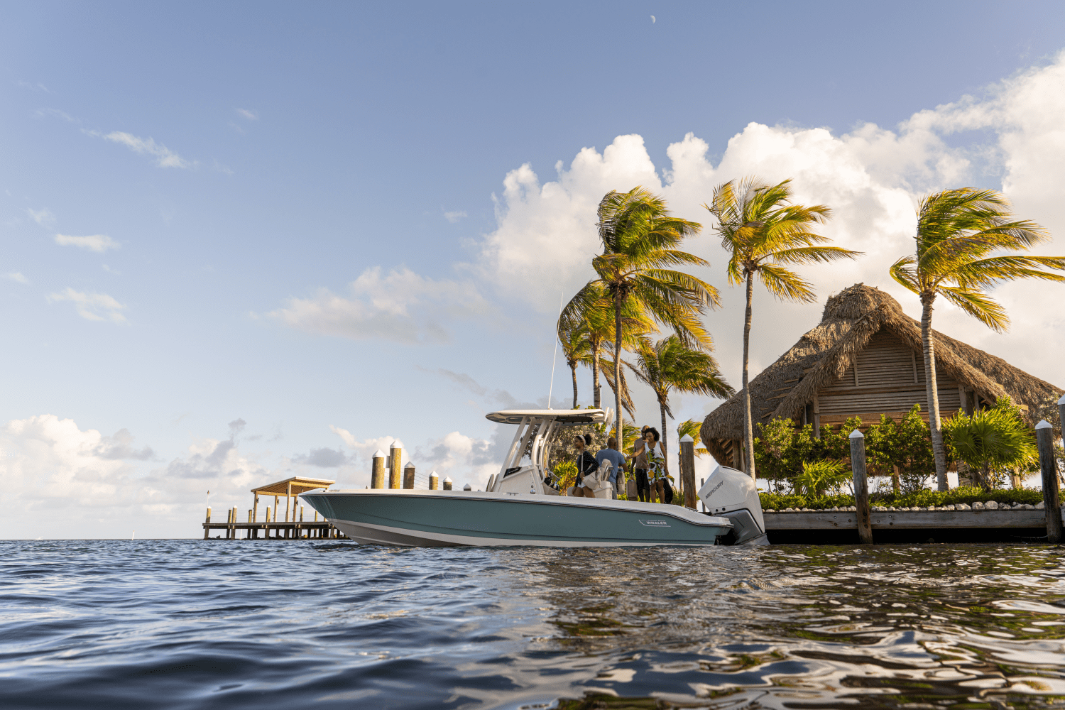 Slide: The Image of Boston Whaler 250 Dauntless 2026 - 24