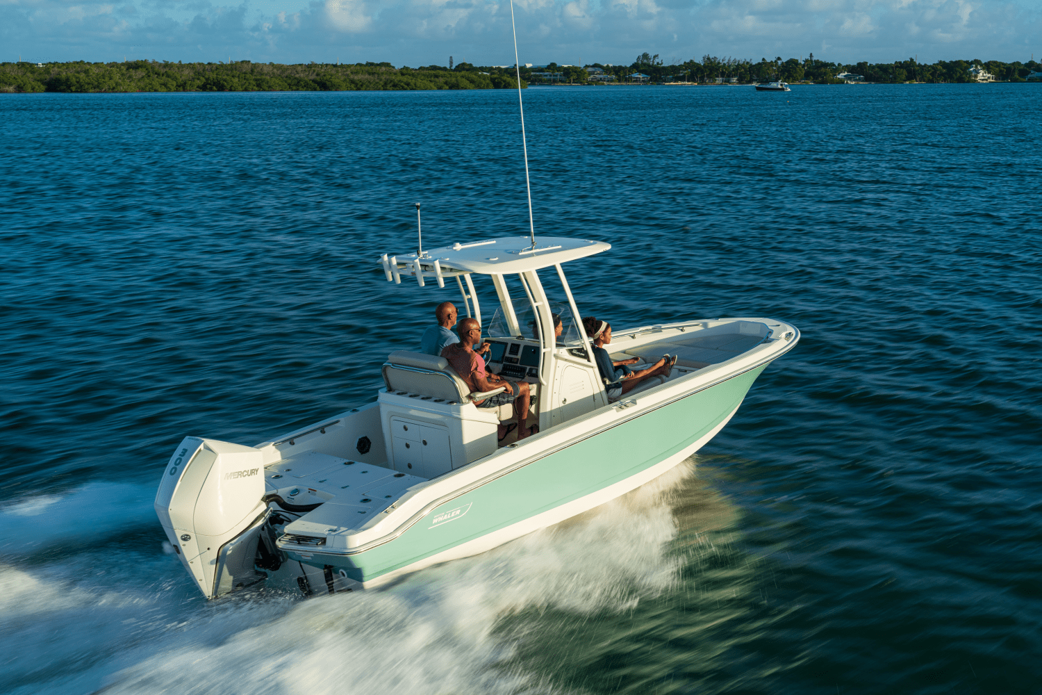 Slide: The Image of Boston Whaler 250 Dauntless 2026 - 25