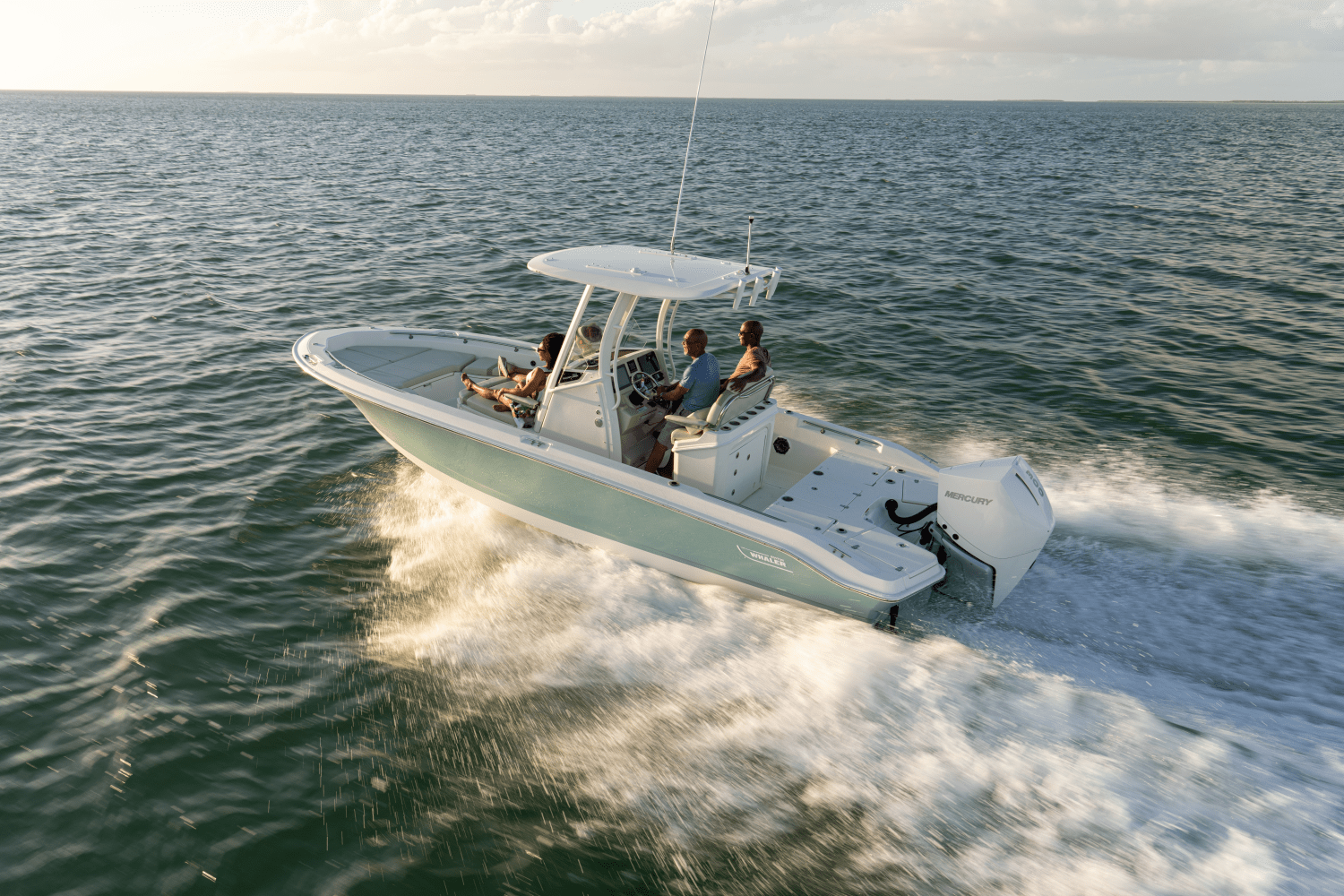 Slide: The Image of Boston Whaler 250 Dauntless 2026 - 29