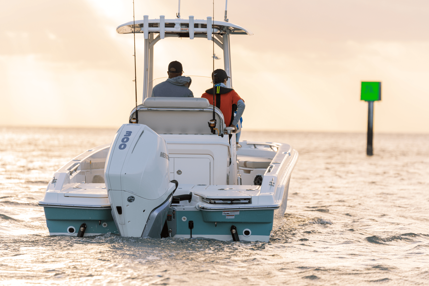 Slide: The Image of Boston Whaler 250 Dauntless 2026 - 3
