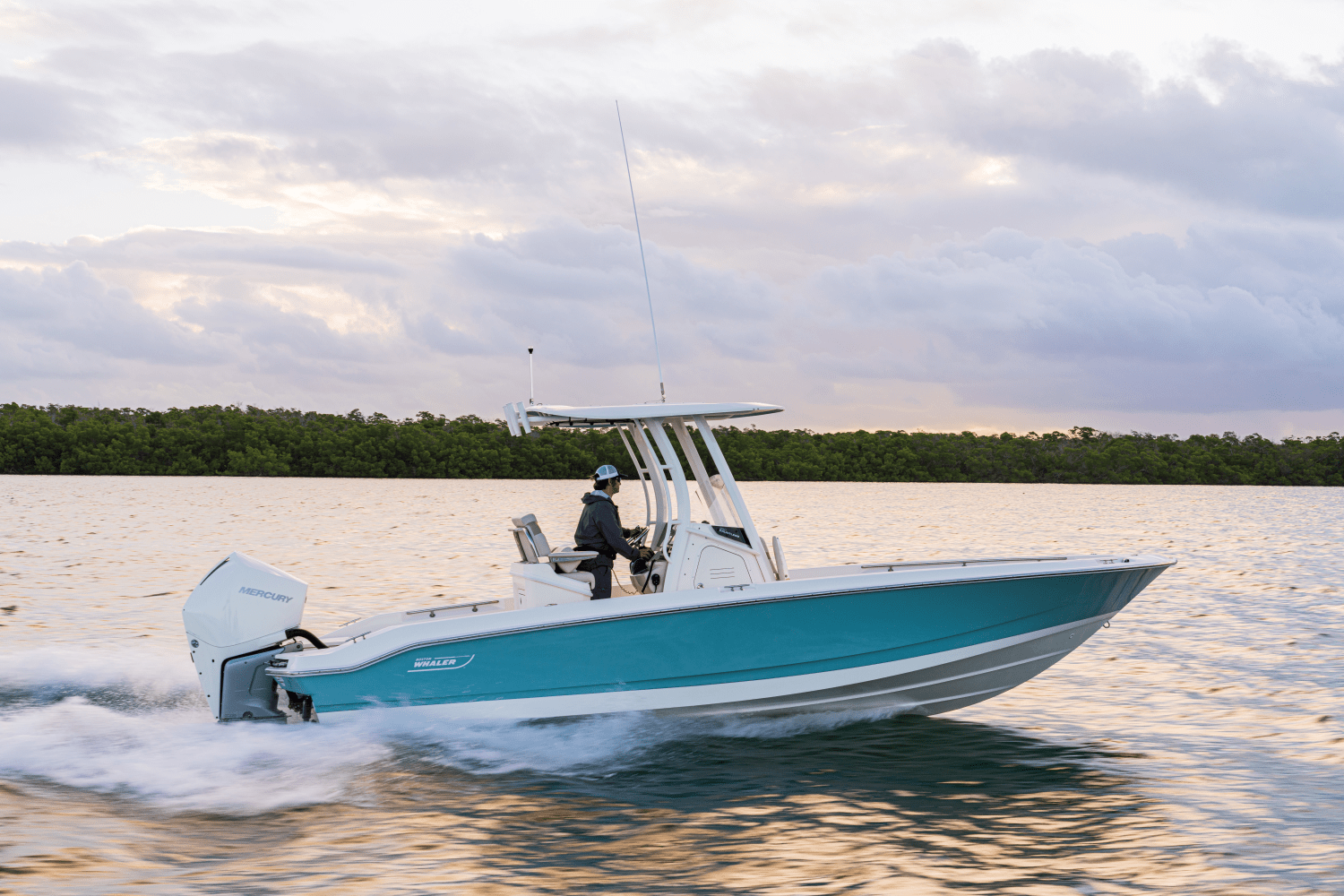Slide: The Image of Boston Whaler 250 Dauntless 2026 - 32