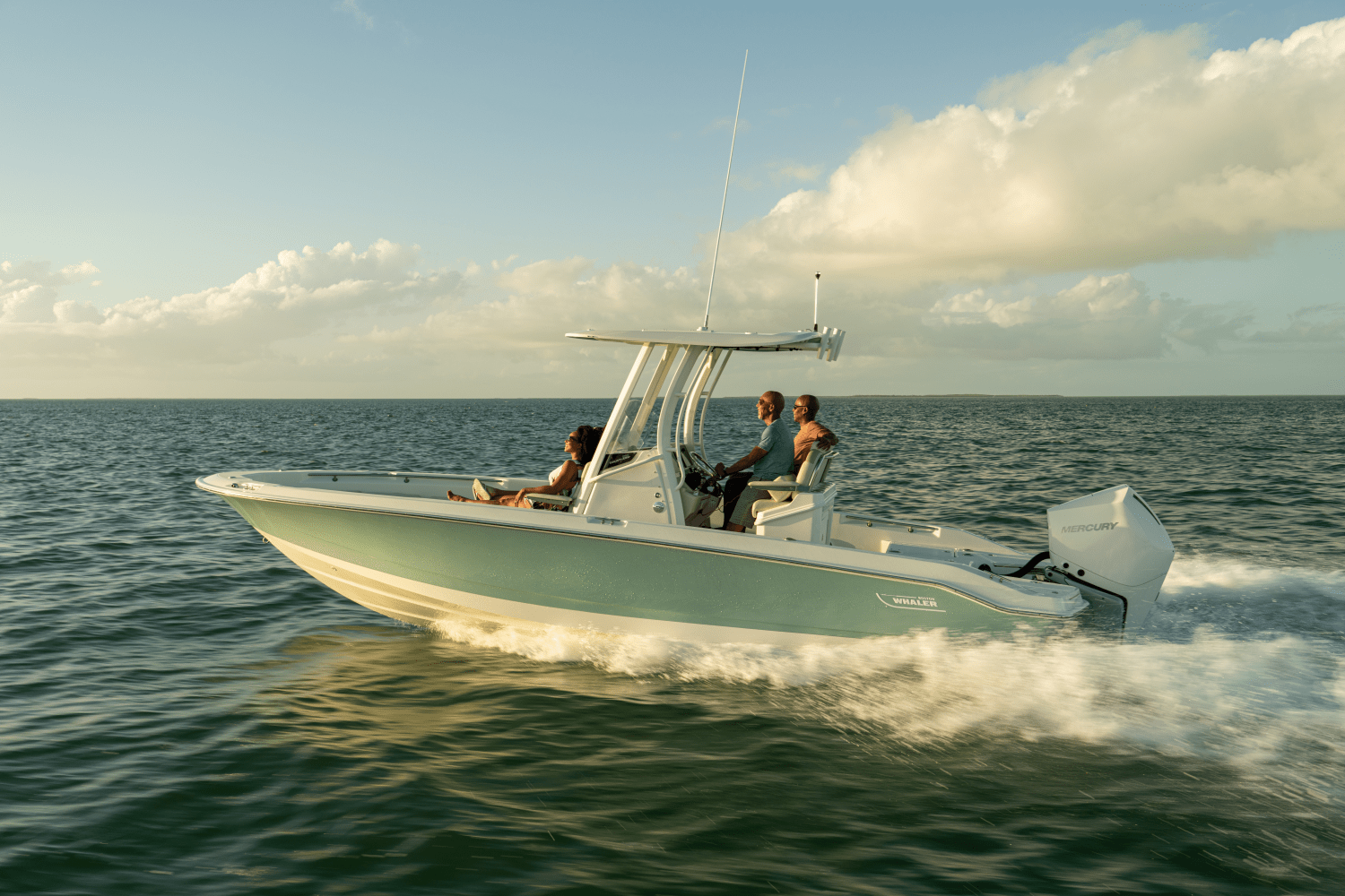 Slide: The Image of Boston Whaler 250 Dauntless 2026 - 35