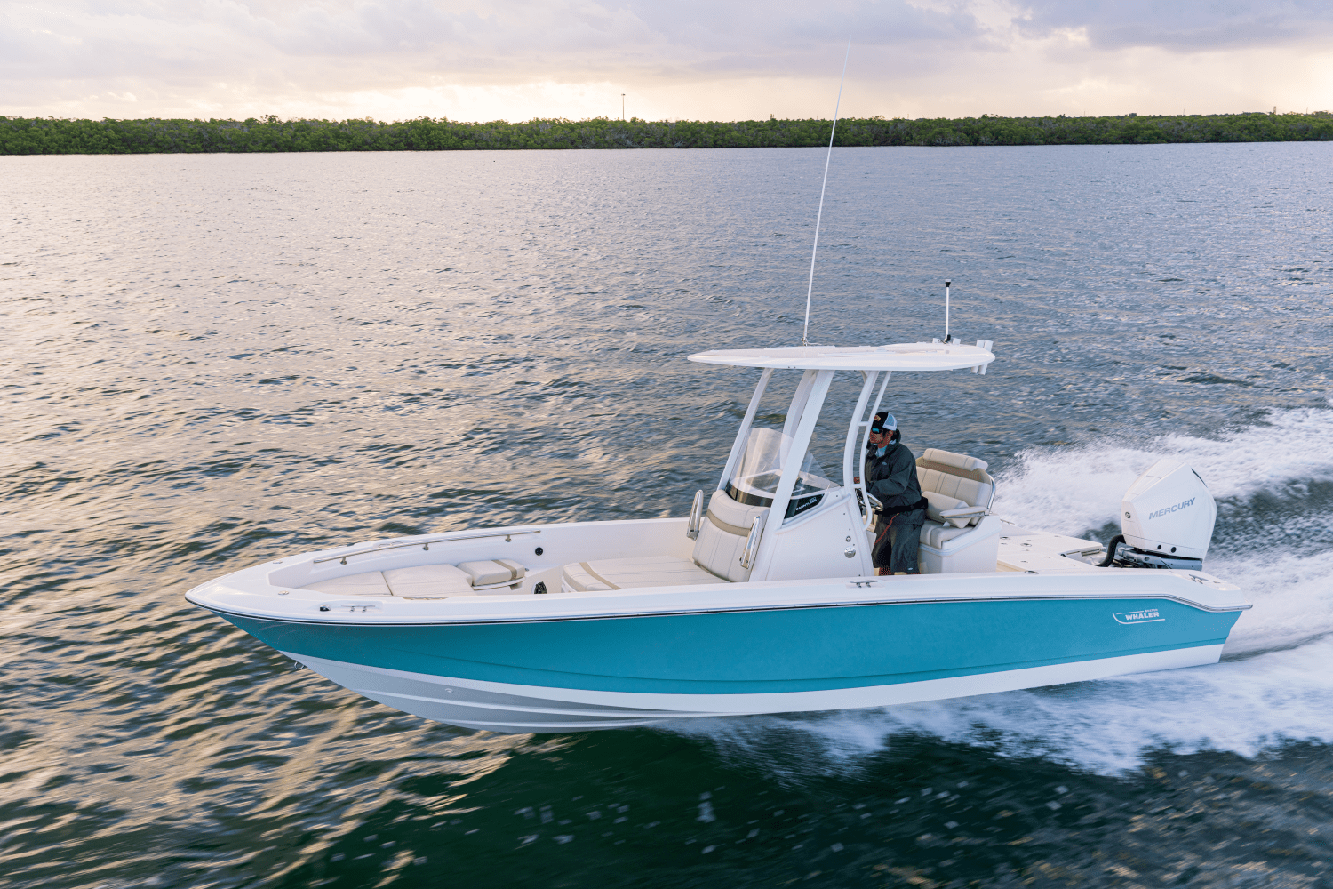Slide: The Image of Boston Whaler 250 Dauntless 2026 - 37