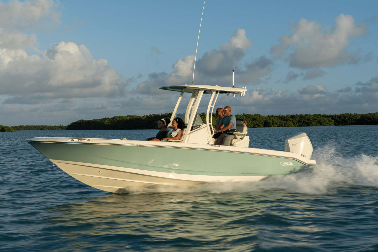 Slide: The Image of Boston Whaler 250 Dauntless 2026 - 40
