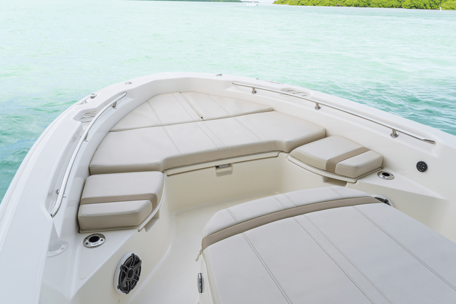 Slide: The Image of Boston Whaler 250 Dauntless 2026 - 47