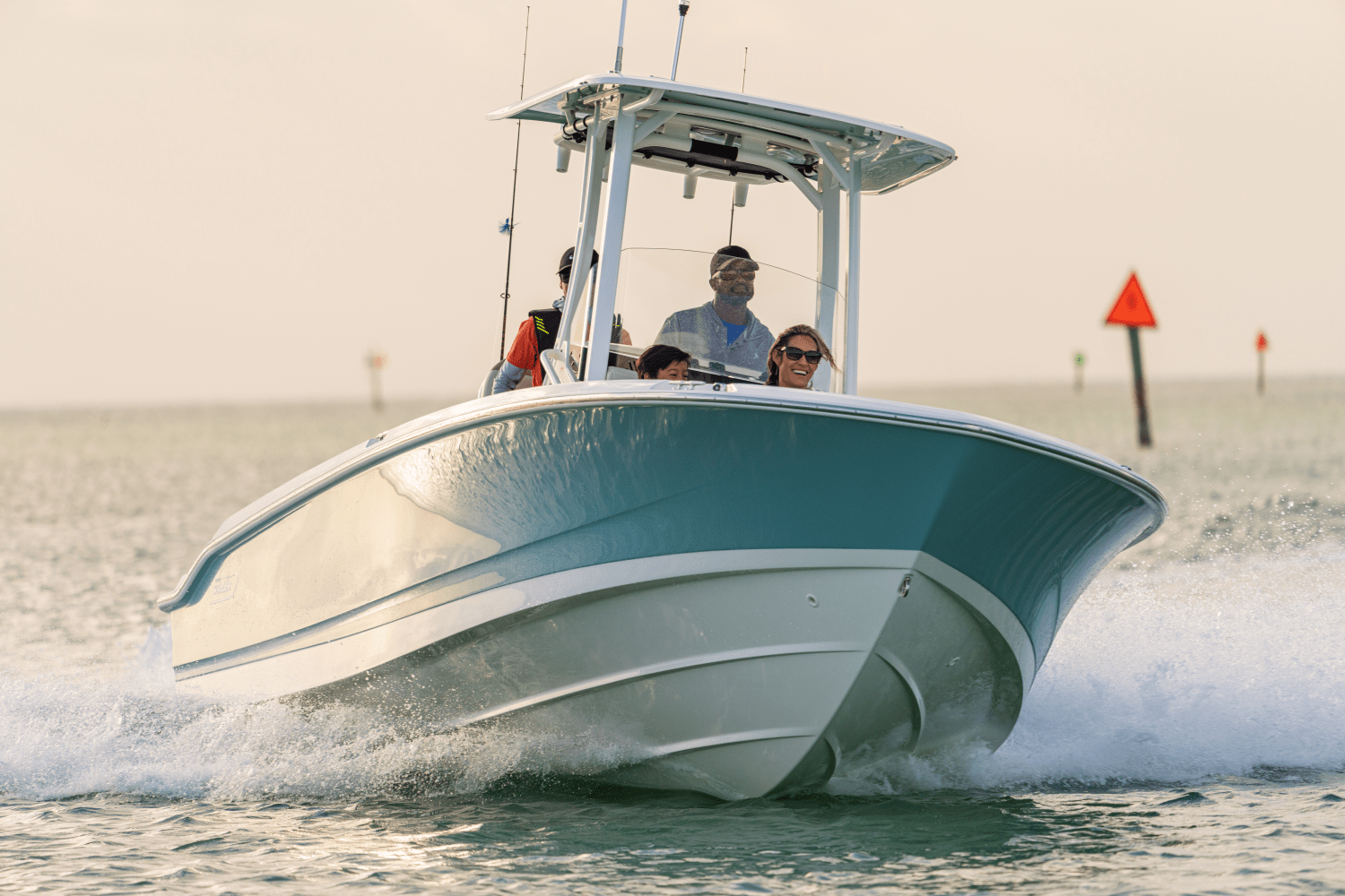 Slide: The Image of Boston Whaler 250 Dauntless 2026 - 5