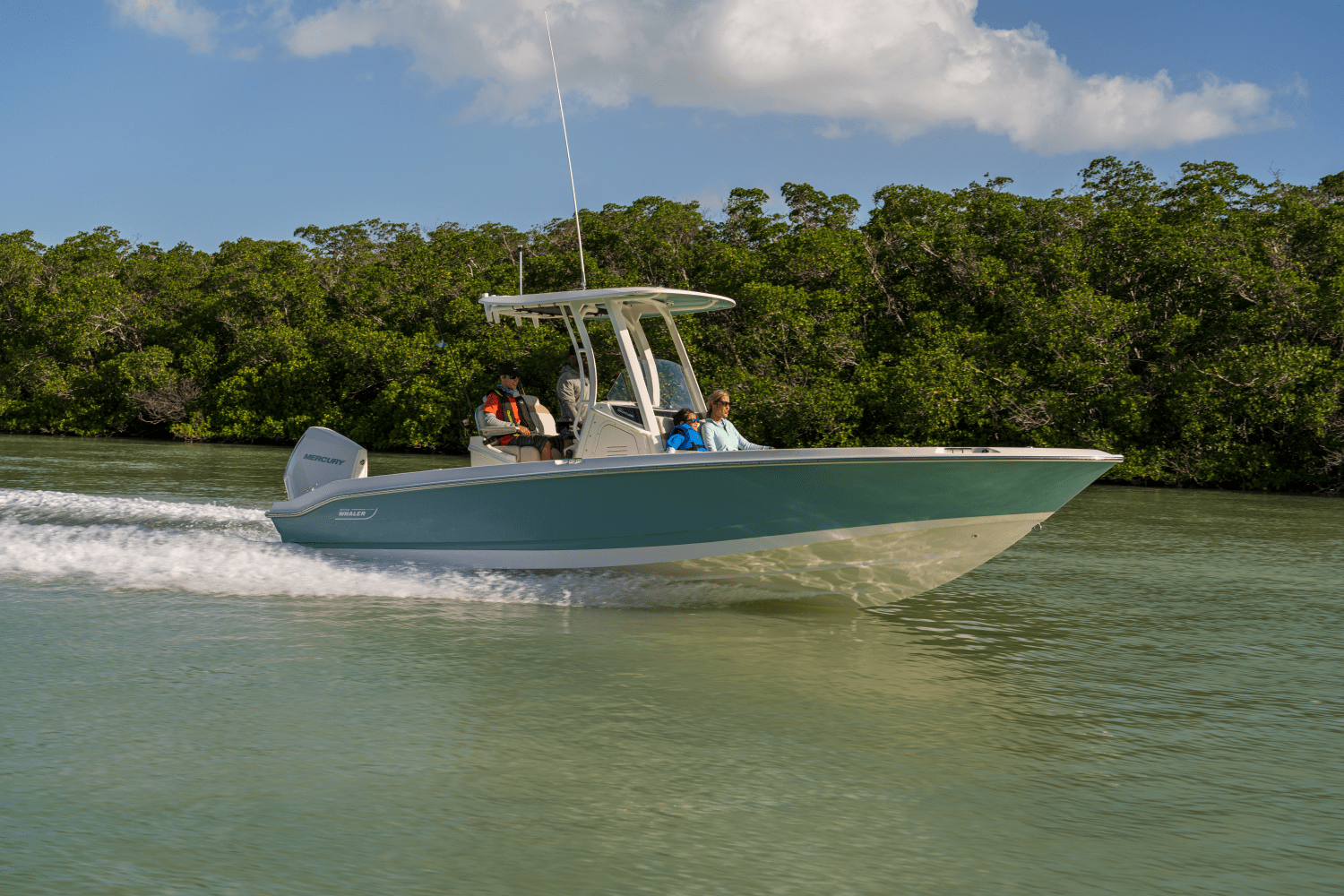 Slide: The Image of Boston Whaler 250 Dauntless 2026 - 7