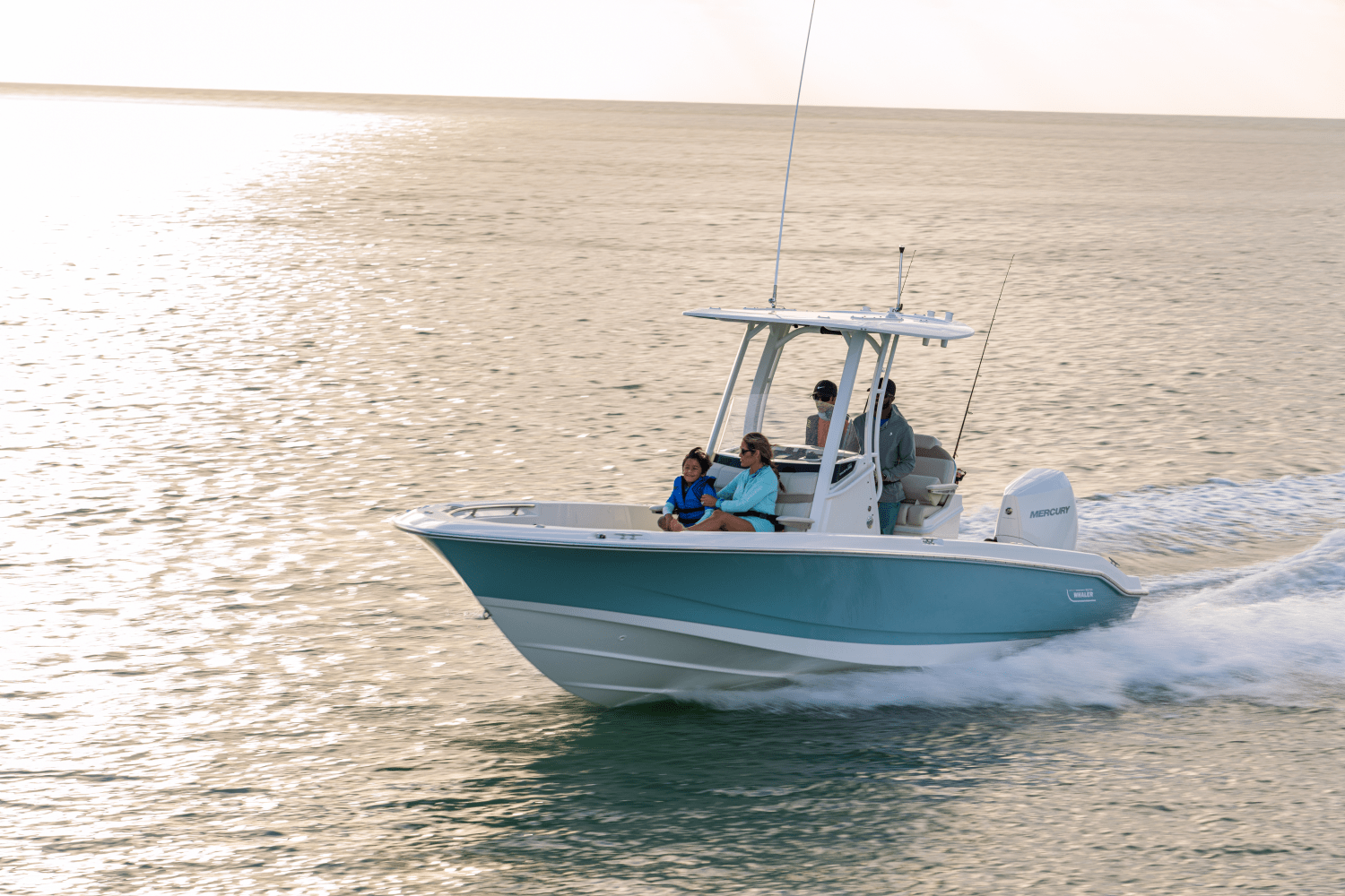 Slide: The Image of Boston Whaler 250 Dauntless 2026 - 9
