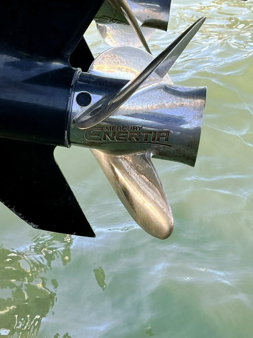 Slide: The Image of IMG_6546 - 4252919