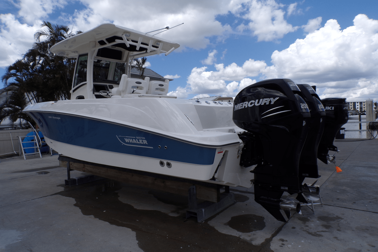 Slide: The Image of Boston Whaler 250 OUTRAGE 2009 - 7