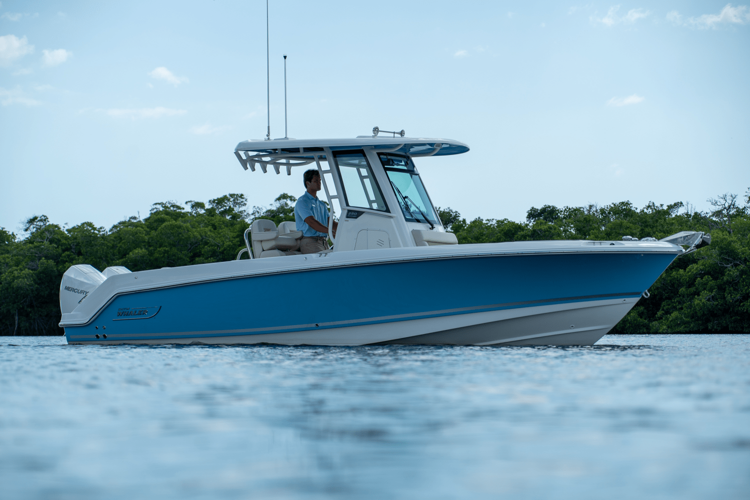 Slide: The Image of Boston Whaler 250 Outrage 2025 - 0