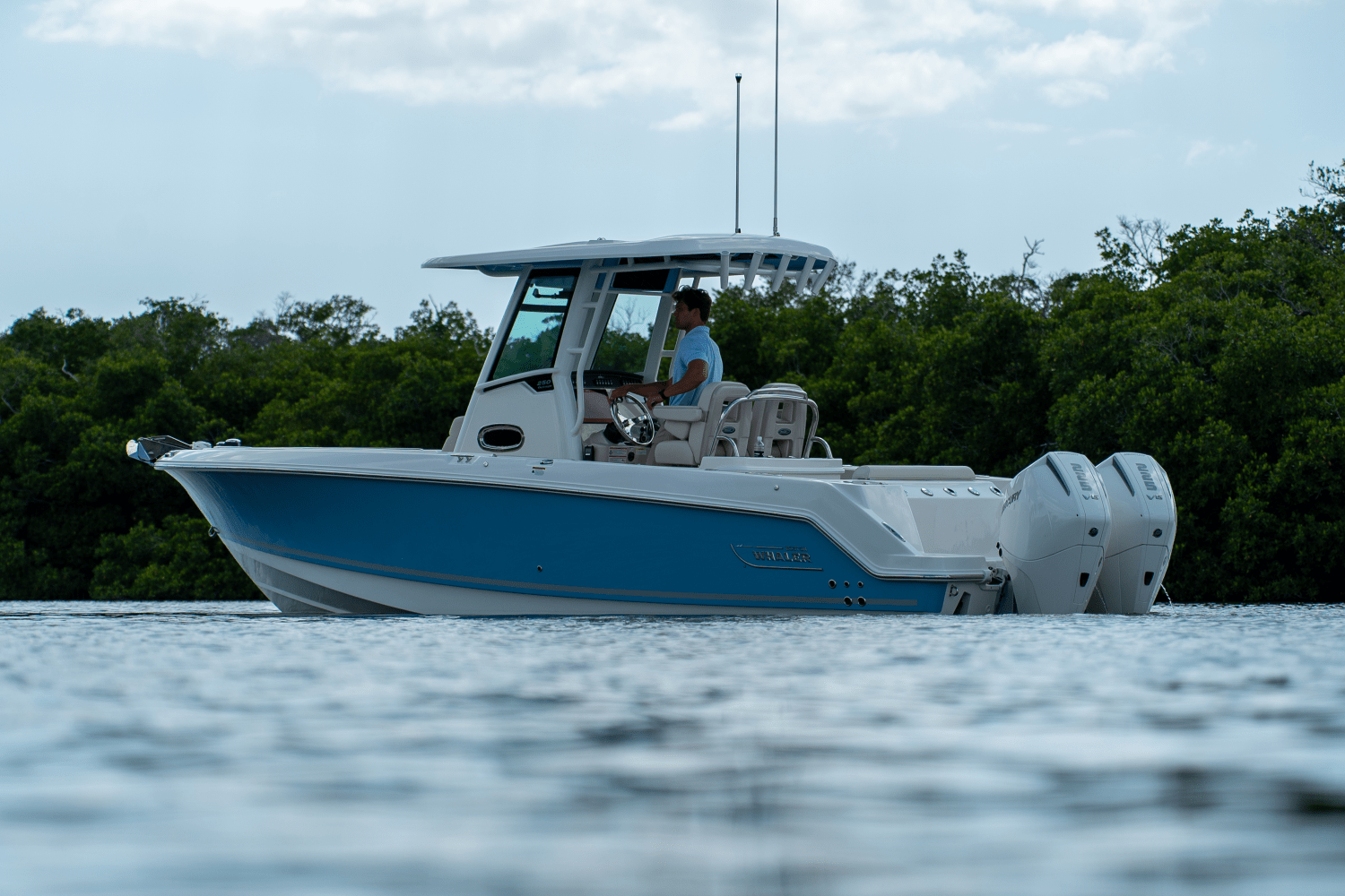 Slide: The Image of Boston Whaler 250 Outrage 2025 - 1