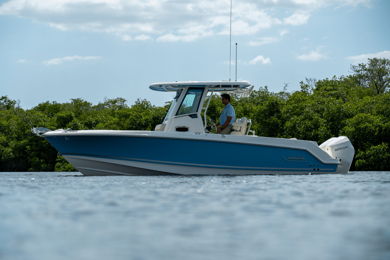 Slide: The Image of Boston Whaler 250 Outrage 2025 - 18