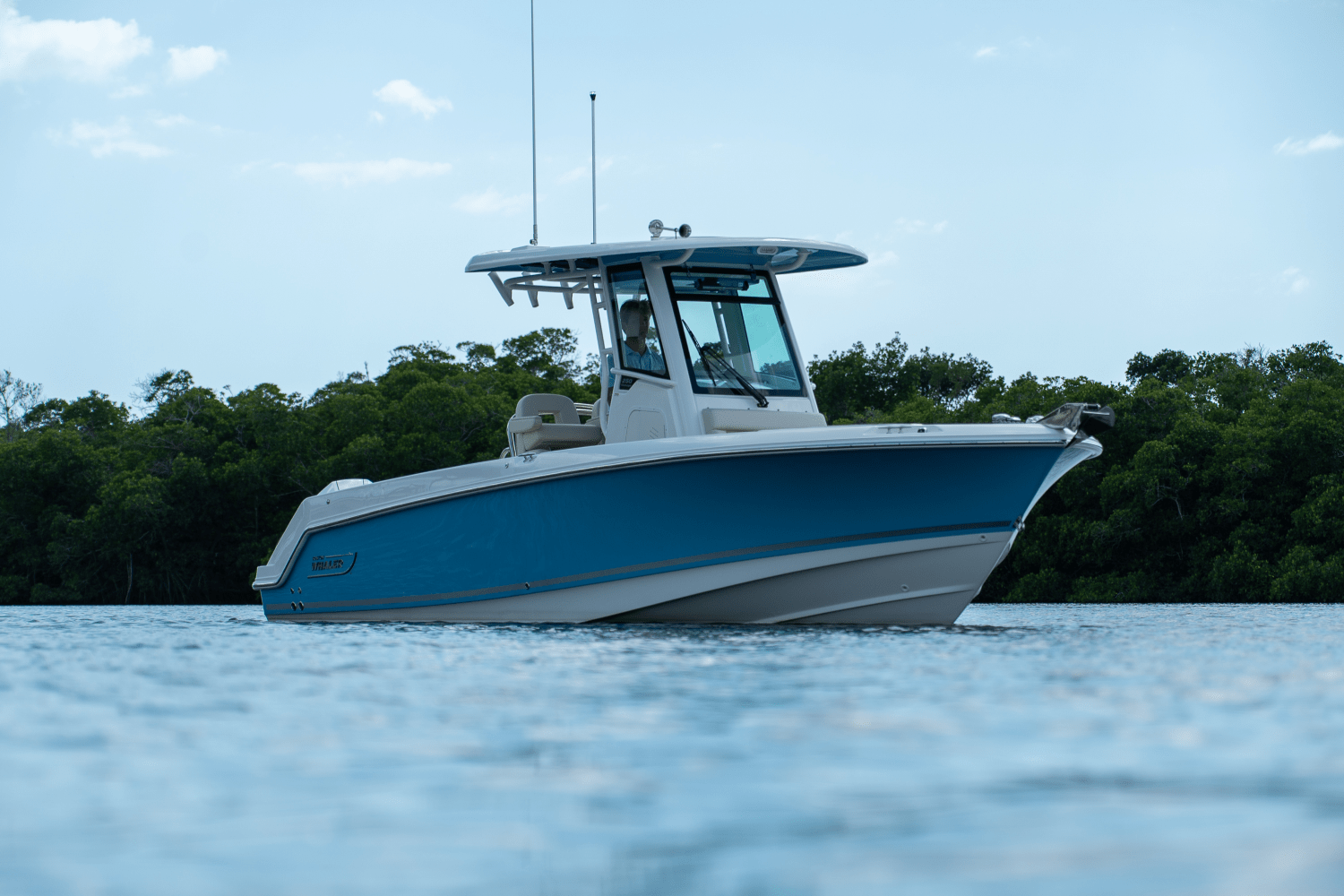 Slide: The Image of Boston Whaler 250 Outrage 2025 - 19