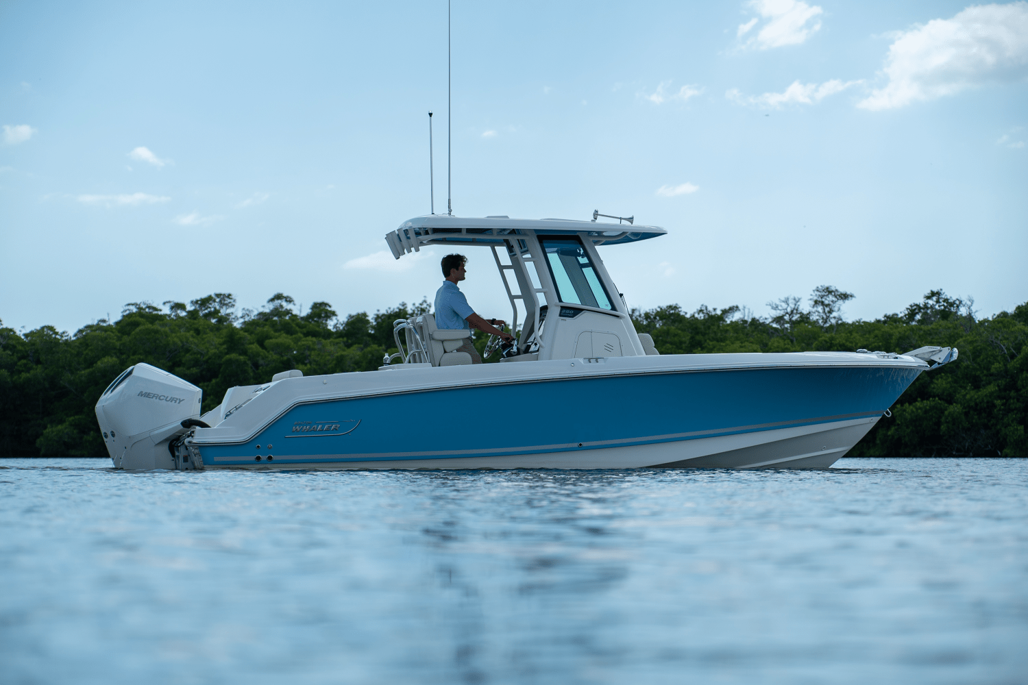 Slide: The Image of Boston Whaler 250 Outrage 2025 - 20