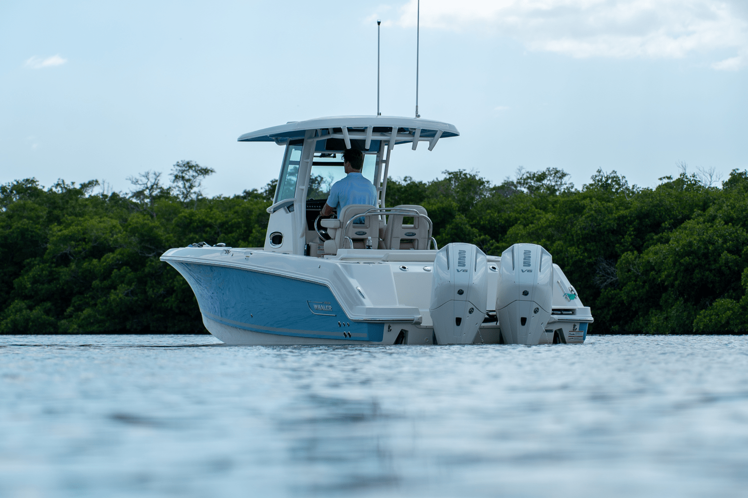 Slide: The Image of Boston Whaler 250 Outrage 2025 - 23