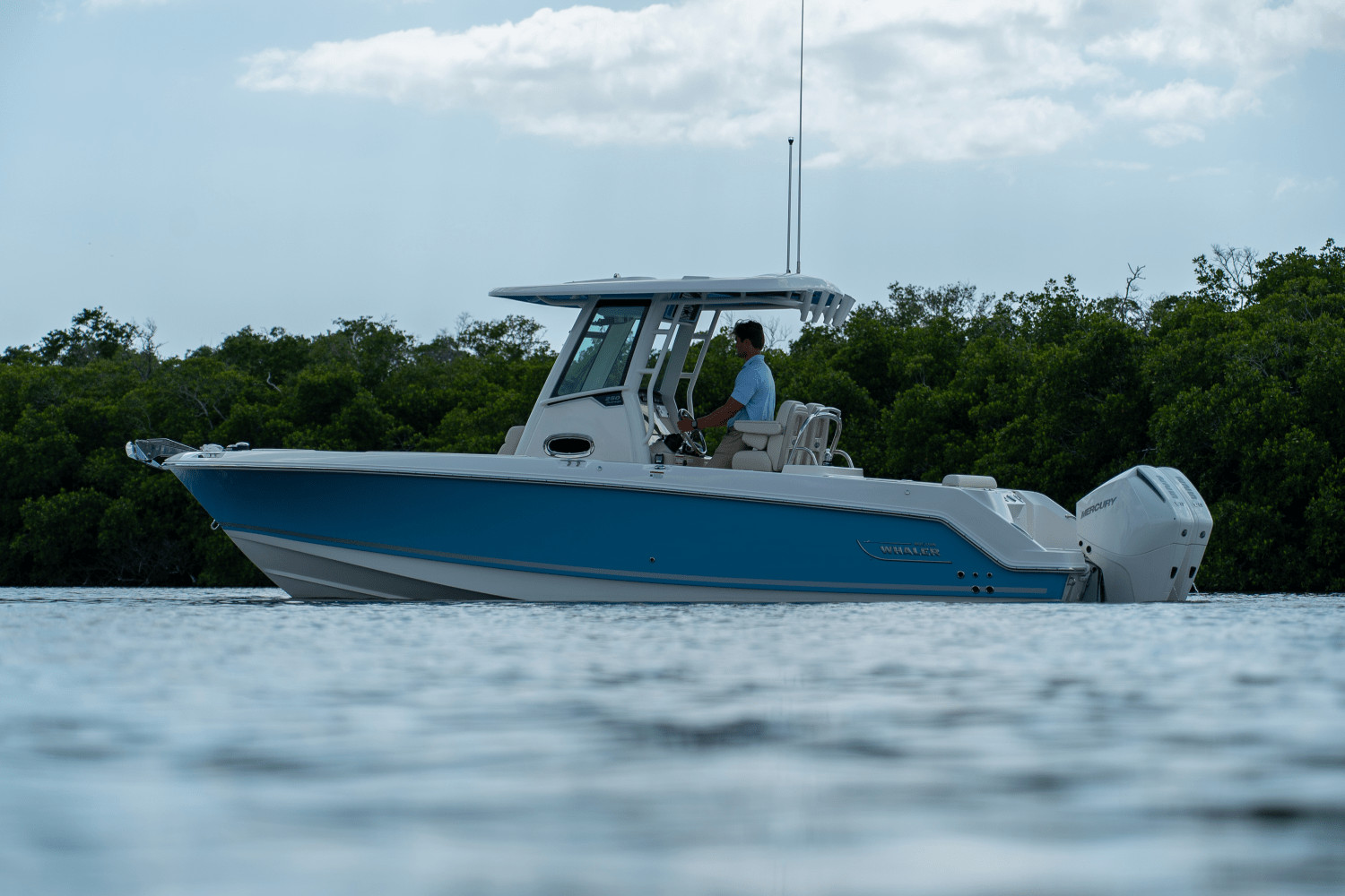 Slide: The Image of Boston Whaler 250 Outrage 2025 - 24