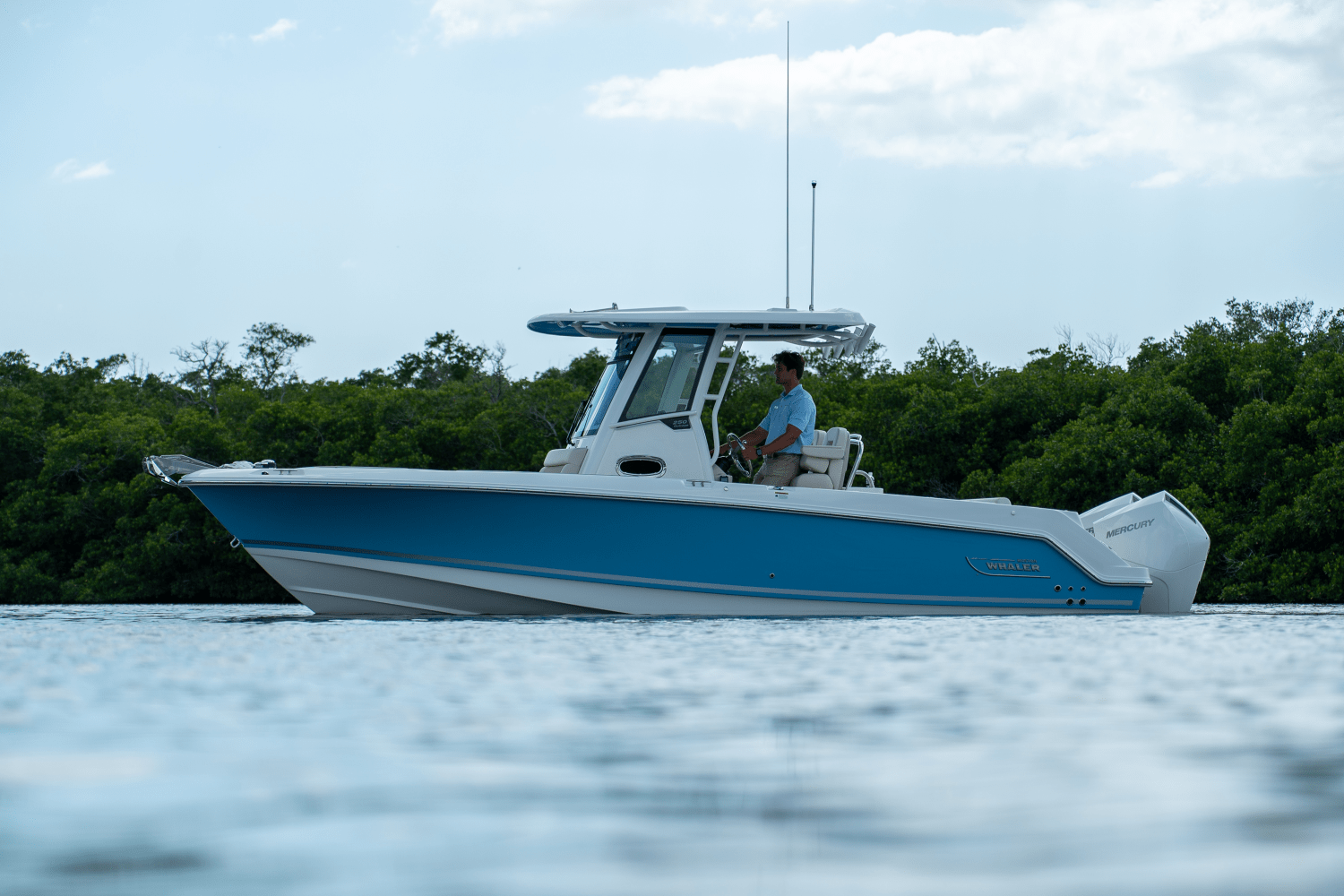 Slide: The Image of Boston Whaler 250 Outrage 2025 - 25