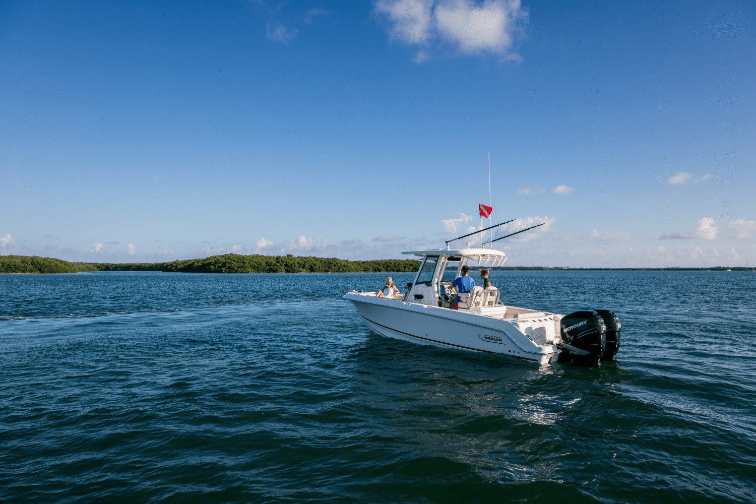 Slide: The Image of Boston Whaler 250 Outrage 2025 - 55