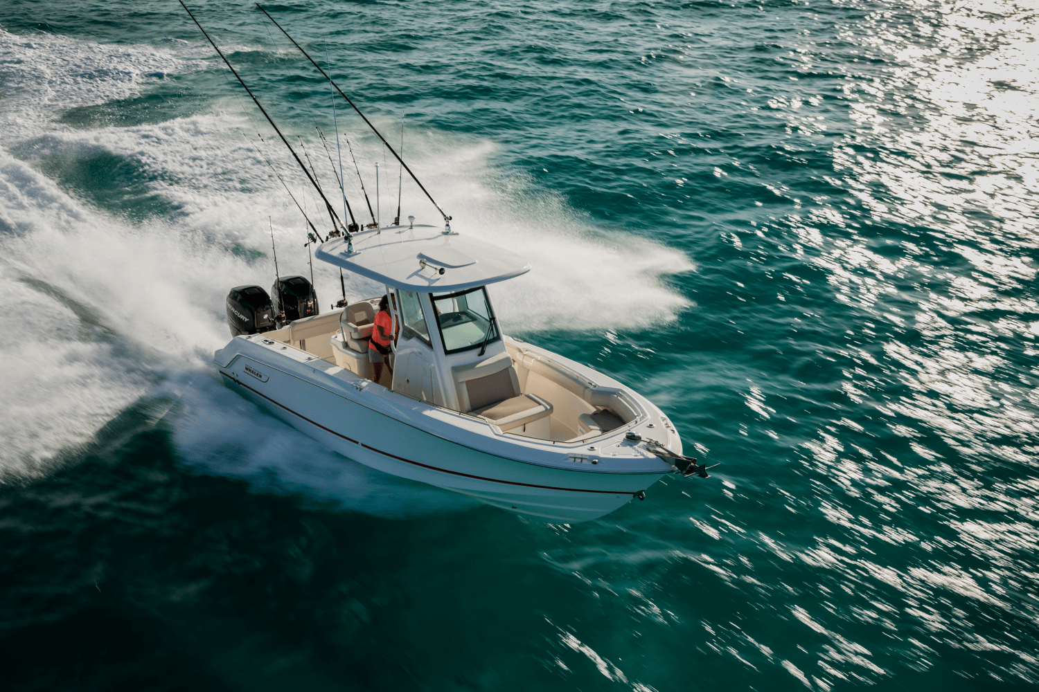 Slide: The Image of Boston Whaler 250 Outrage 2025 - 58