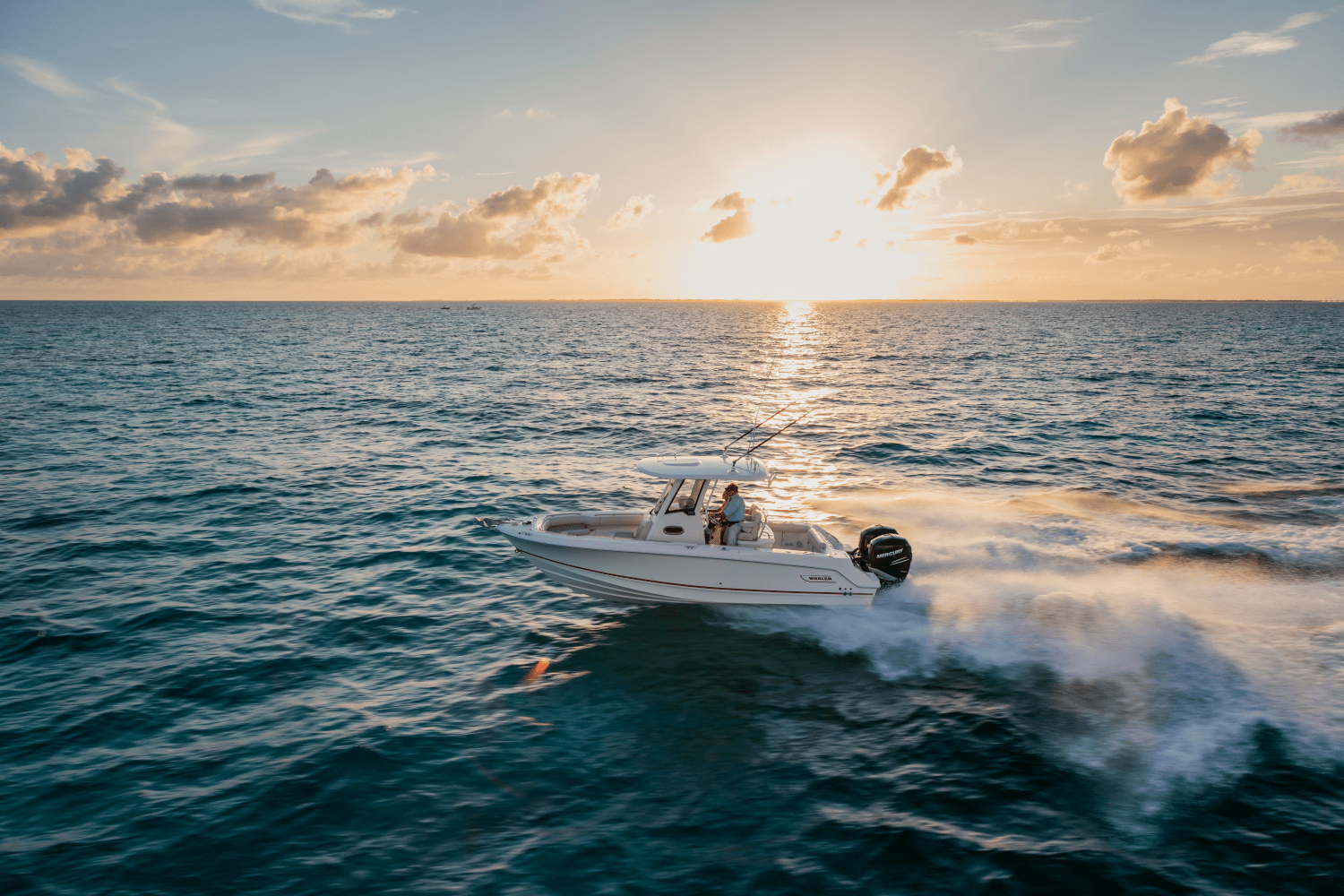 Slide: The Image of Boston Whaler 250 Outrage 2025 - 63