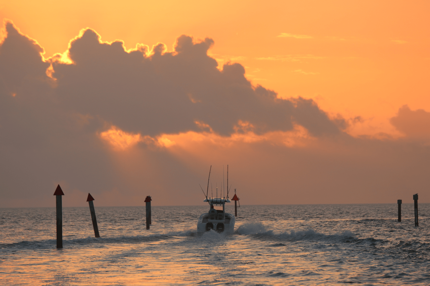 Slide: The Image of Boston Whaler 250 Outrage 2026 - 13