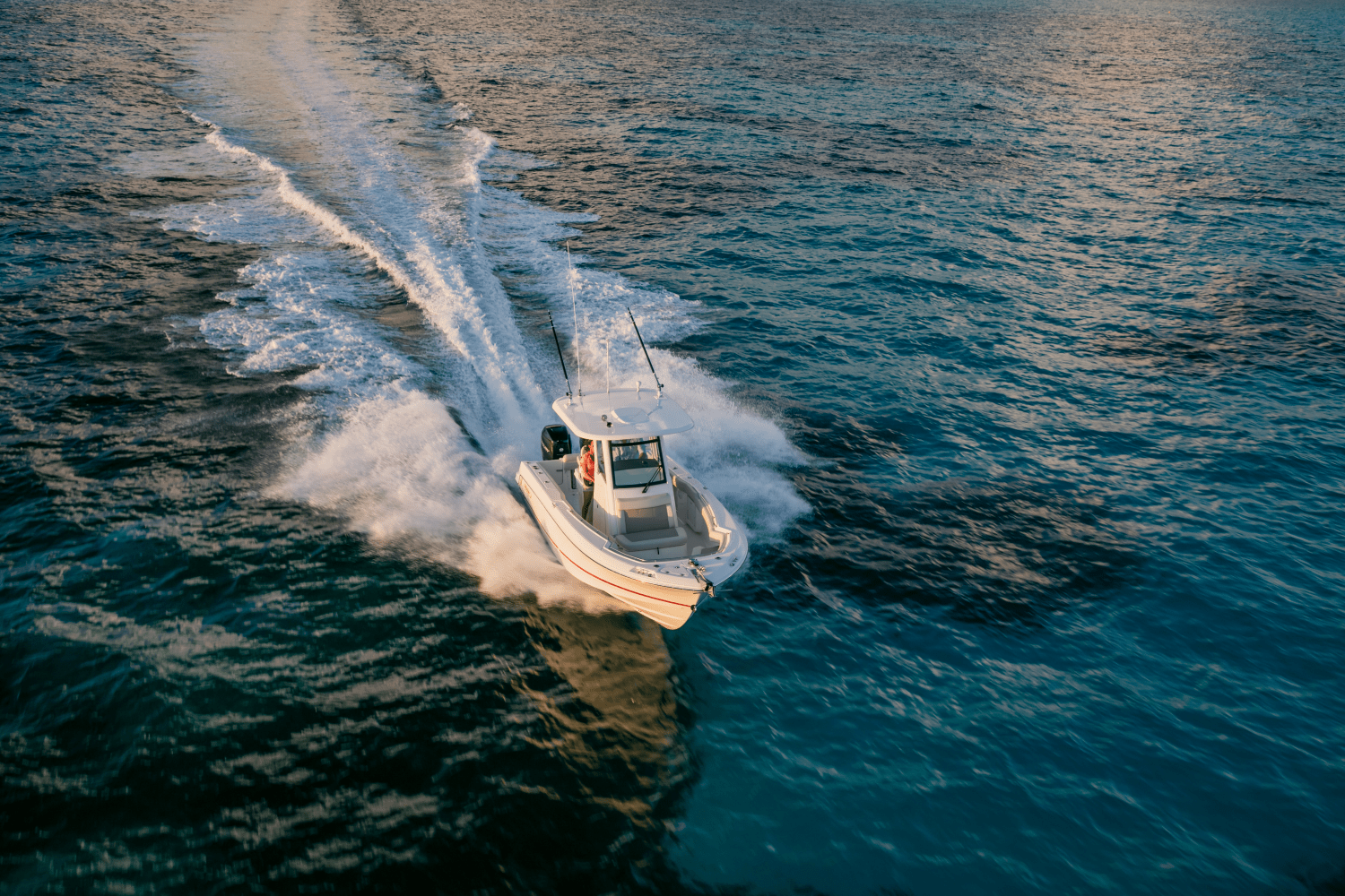 Slide: The Image of Boston Whaler 250 Outrage 2026 - 54