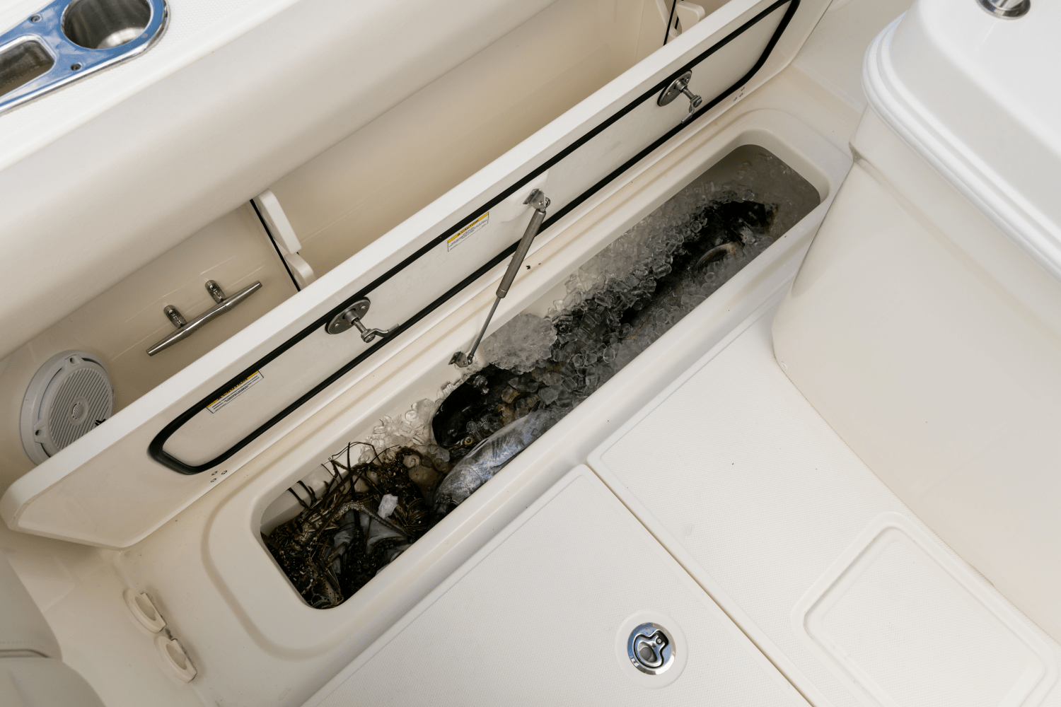 Slide: The Image of Boston Whaler 250 Outrage 2026 - 84