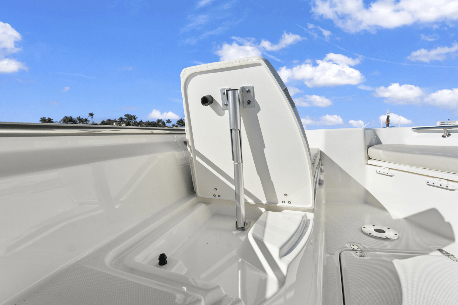 Slide: The Image of Boston Whaler 280 DAUNTLESS 2023 - 17